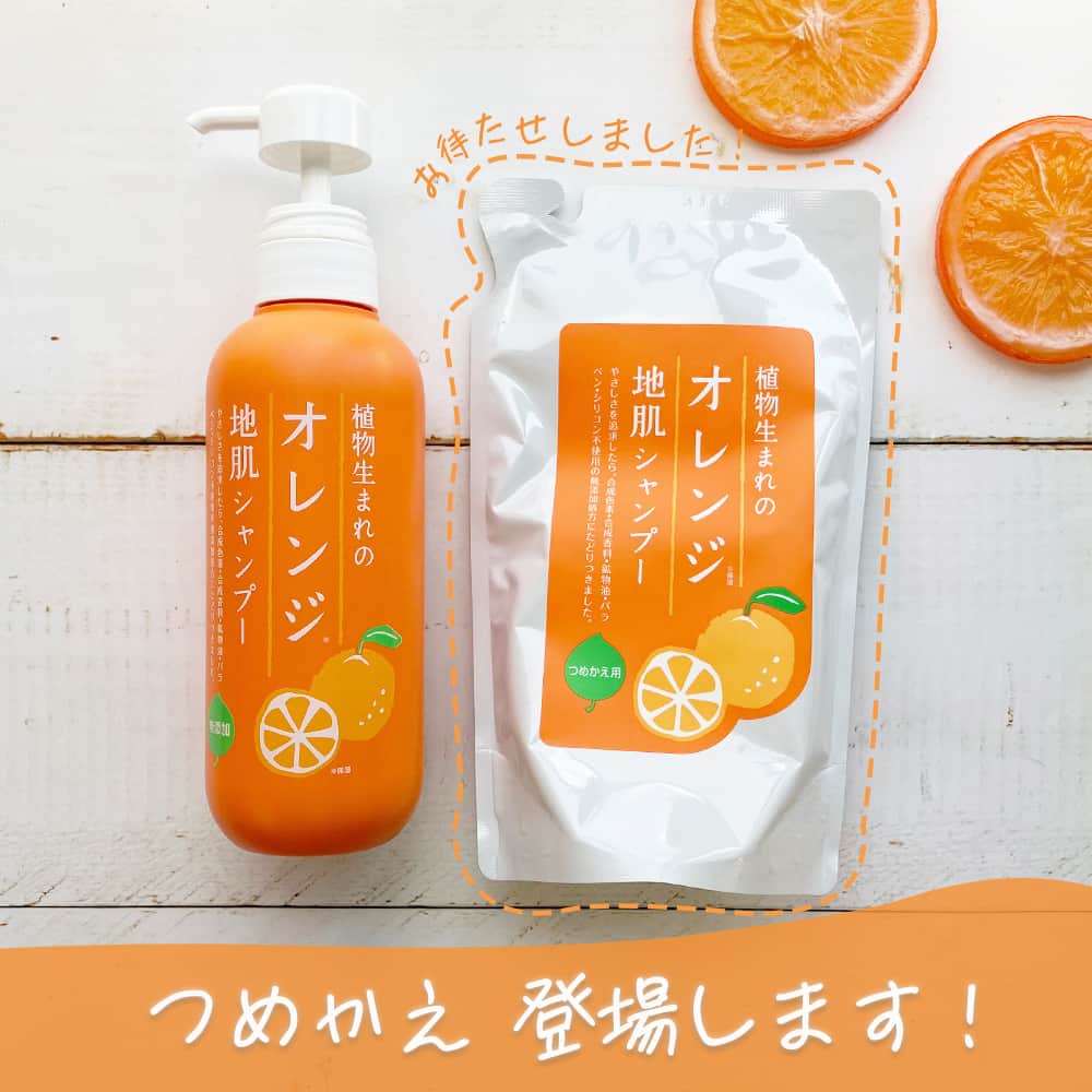 石澤研究所さんのインスタグラム写真 - (石澤研究所Instagram)「🍊植物生まれのオレンジ地肌シャンプー 嬉しいお知らせ🍊  長らくお待たせいたしました。 植物生まれのオレンジ地肌シャンプー【つめかえ用】が6/21（水）より発売開始です！  ーーーーーーーーーーーーーーーーーーーーーーーー ▼オレンジ地肌シャンプーＳ　つめかえ用 ・容量：340mL ・価格：1,650円（1,500円） ・取扱店：全国のバラエティショップ、石澤研究所 公式通販 ※取り扱いや在庫状況は、直接店舗へお問合せください。 ーーーーーーーーーーーーーーーーーーーーーーーー  ありがたいことにこれまで「つめかえが欲しい！」とたくさんのお声をいただきました。 ゛洗浄成分は100%植物うまれ”にこだわったオレンジ地肌シャンプーは、成分の相性や組み合わせが難しいデリケートな処方のため【つめかえ用】の開発に試行錯誤を繰り返し、ようやく発売となりました✨  つめかえ用の発売に合わせて、オレンジ地肌シャンプーはリニューアル発売となります🍊 地肌へのやさしさ＆天然オレンジの香りはそのまま、よりサラッとした仕上がりに！ オレンジパワーで健康な髪と地肌を育みます。  つめかえを待っていただいた方はもちろん、 ・家族で使えるシャンプーを探している ・オレンジの香りが好き！ ・地肌の汚れが気になる ・地肌が敏感 ・サラサラの髪を目指している  そんなみなさまに自信をもっておすすめできるシャンプーですので、たくさんの方に手に取っていただきたいです♪  @ishizawalab  #植物生まれ #オレンジ地肌シャンプー #シャンプーのつめかえ #天然オレンジ #地肌にやさしい #環境にやさしい #石けんベース #石油系洗浄成分不使用 #アルコール不使用 #新製品 #石澤研究所」5月29日 12時00分 - ishizawalab