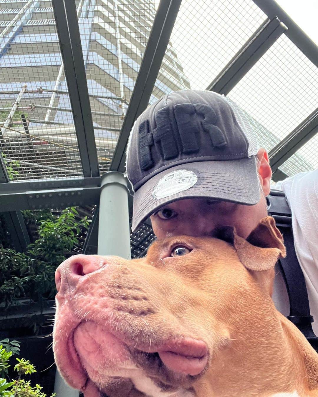山口祥行のインスタグラム：「スミスとタイマン😊🐕 #いぬすたぐらむ」