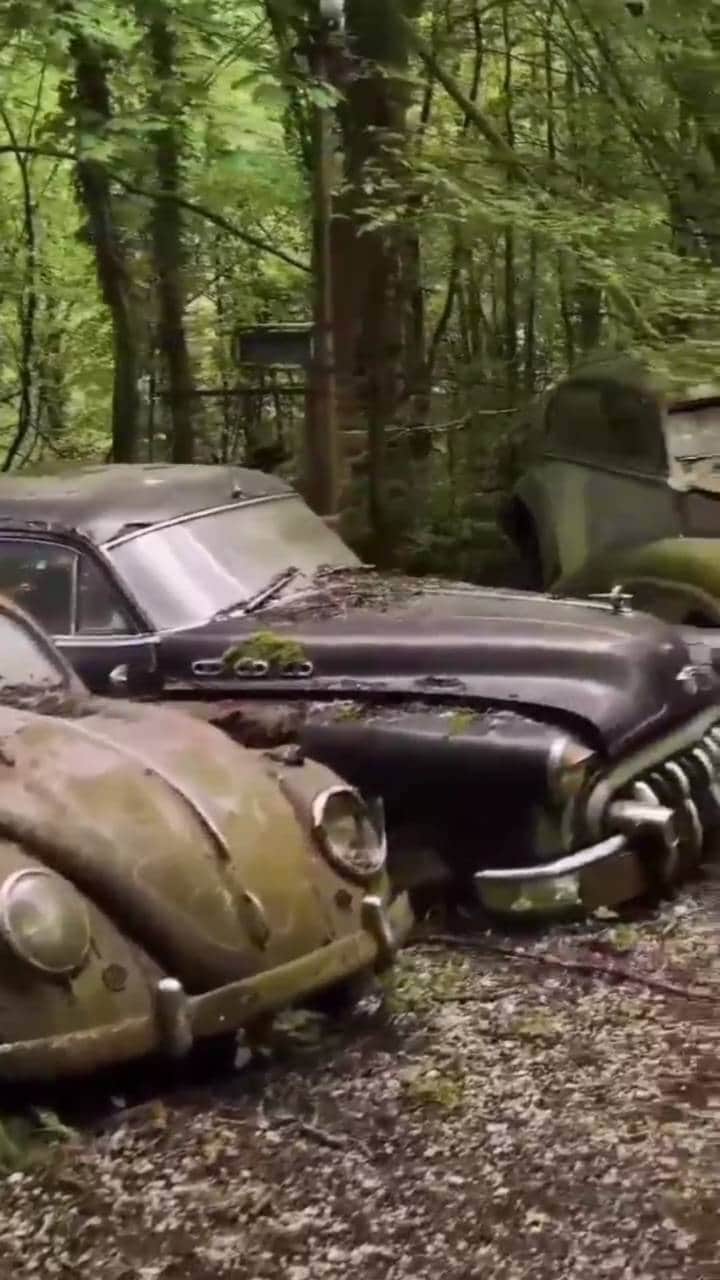 Abandoned Placesのインスタグラム：「🎥 @bwturbex  The graveyard of cars!🪦🚘  🏷️Mention someone you want to explore this place with 👀  Via @deserted.places  #desertedplaces #abandonedplaces #abandoned #exploreplaces #travel #ig_urbex #travelling #vintage #vintagehome #urbex #urbexphotography #urbanexplorer #urbexworld #architecture #creepy #ic_urbex #explore #creepystories」