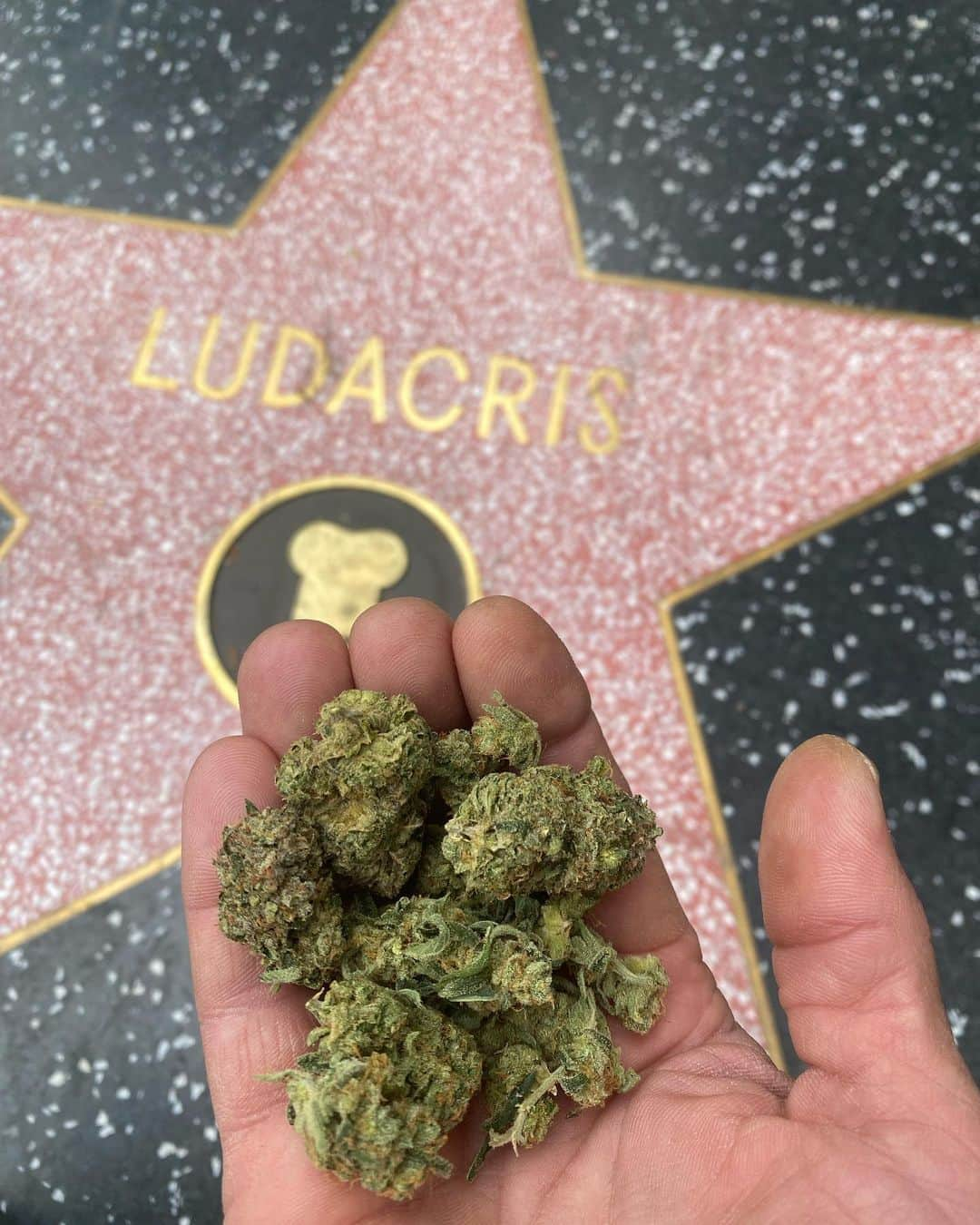 リュダクリスさんのインスタグラム写真 - (リュダクリスInstagram)「Such A Blessing To See How My Fans Are Watching Over My Star With Love 🙏🏾」5月29日 4時58分 - ludacris