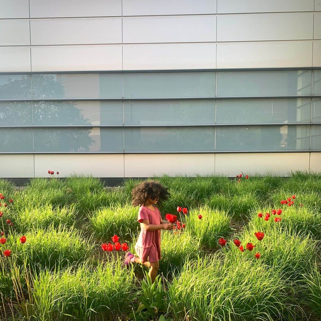 ナショナルジオグラフィックさんのインスタグラム写真 - (ナショナルジオグラフィックInstagram)「Photo by @amytoensing | Green grass and blooming tulips are a sight for sore eyes after a long winter in Syracuse, New York.」5月29日 5時00分 - natgeo