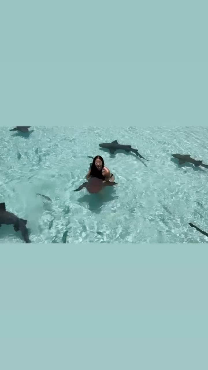 GODDESS OF LOVEのインスタグラム：「The Exumas, Bahamas video soon.」