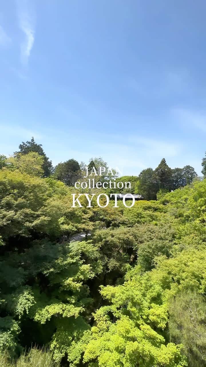 JAPAN TRIP 大人旅〜厳選の宿〜のインスタグラム：「． ▪️JAPAN collection “KYOTO” 📍東福寺／Tofukuji Temple  東福寺、第2弾。 別バージョンです。  どっちの感じが好みとかあったりしますか？ 今後の参考にしたいので… 良かったらコメントお願いします🙇‍♂️  #kyototrip #visitkyoto #visitjapan #japantrip #kyototemple #東福寺 #京都旅行 #京都のお寺」