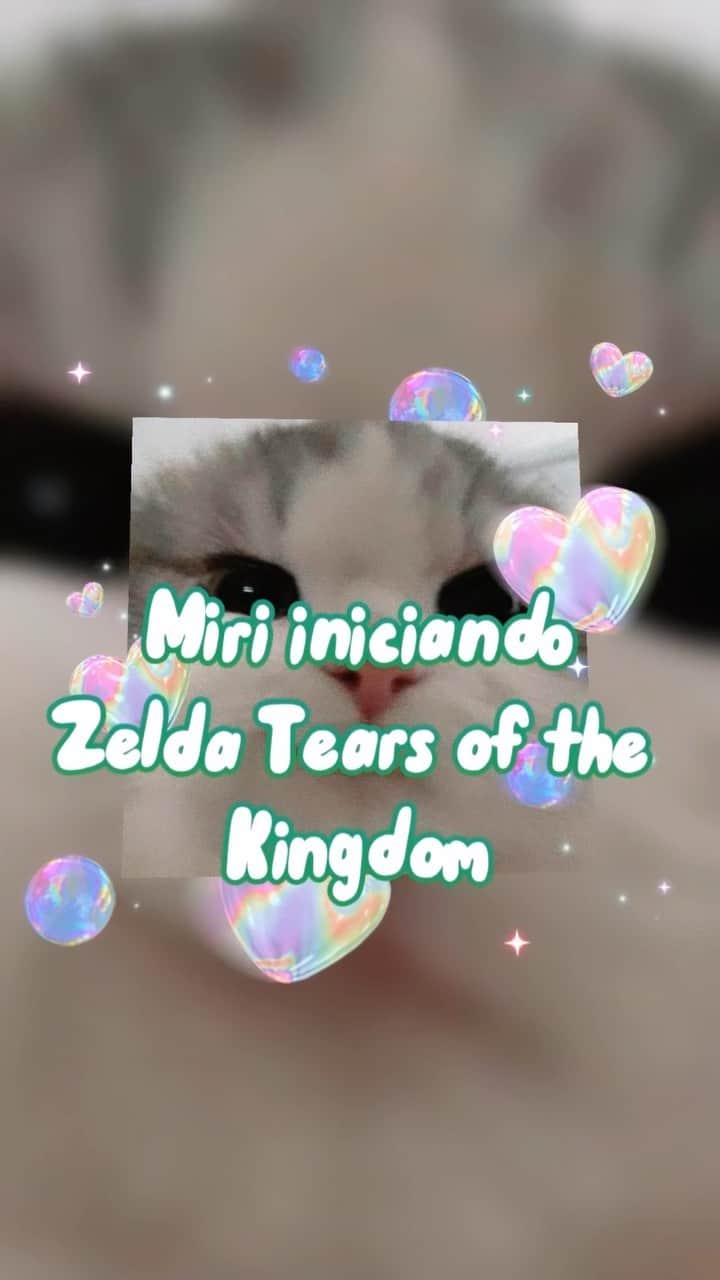 ミランダ・イバネスのインスタグラム：「Las lágrimas del intrépido duende José Luis #zeldatearsofthekingdom #twitch 💚」