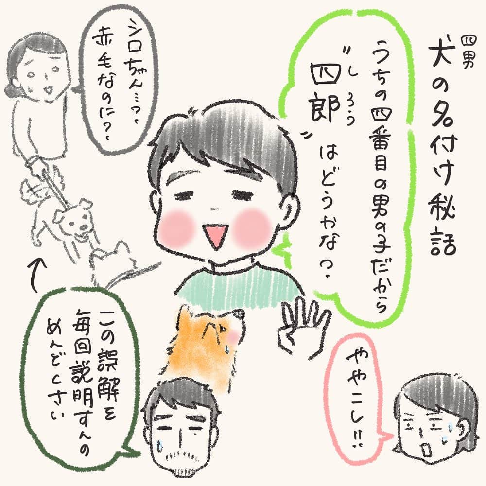 tomekkoのインスタグラム：「【末っ子🐕の名付け秘話】  今日は久々、うちの本当の末っ子、四男（犬）の話。  お正月に家族が増えました！と紹介したものの、時々日々の様子をチラッと描いたり写真載せたりぐらいで、なかなか詳しいことが描けていなかったのでちょっとずつ描いていきます。  改めて、名付けの話。  長男案、母案は却下。  うちは子どもたちの名前は全員漢字1文字の2文字読みで、できるだけ性別に関係なく使える名前にしています。  夫としてはそこにできれば合わせたい。が、もう候補3人分絞り出した後なのでどうにもしっくりくるのが思い浮かばない。  ということで、子どもたちに呼びやすく語感の良い2文字の名前を考えてもらいました。  漢字は検討の末（というか消去法で）決めたけど動物病院の診察券にもカタカナで書いちゃってるし多分この設定誰も覚えてない…笑  末っ子ともなると名付けも絞り出す感じになっちゃって申し訳ないけど、三男で既に行き詰まってるので許してくれ。  お散歩で出会うワンちゃんたちのお名前を聞くと可愛いお菓子の名前とかすごい人間ぽい名前だったりして、また名は体を表すというのは犬にも当てはまるらしく、みんな名前に合った雰囲気持っていて毎回ほっこりしています。  #犬のいる暮らし  #豆柴 #3兄弟と犬 #男系家族   ＊  先日は三男のお誕生日に温かいコメントありがとうございました！  そんな三男、長引く咳と鼻水、熱の風邪になってずーっと保育園もお休みしてたんですが、今この症状の子がうちの近所は多いみたいで小児科大混雑です。。。  RSとか流行ってる？のかな。 久々の病気で思い出したんですが、三男生後2ヶ月の時にRSで入院したんでした。  その時の状況や気をつけると良いことなど、古い記事ですがハイライトに置いておきますね。  もし赤ちゃんのいるご家庭のご参考になれば幸いです！」
