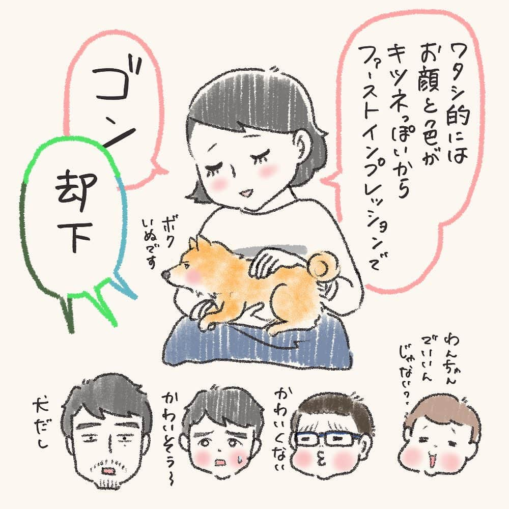 tomekkoさんのインスタグラム写真 - (tomekkoInstagram)「【末っ子🐕の名付け秘話】  今日は久々、うちの本当の末っ子、四男（犬）の話。  お正月に家族が増えました！と紹介したものの、時々日々の様子をチラッと描いたり写真載せたりぐらいで、なかなか詳しいことが描けていなかったのでちょっとずつ描いていきます。  改めて、名付けの話。  長男案、母案は却下。  うちは子どもたちの名前は全員漢字1文字の2文字読みで、できるだけ性別に関係なく使える名前にしています。  夫としてはそこにできれば合わせたい。が、もう候補3人分絞り出した後なのでどうにもしっくりくるのが思い浮かばない。  ということで、子どもたちに呼びやすく語感の良い2文字の名前を考えてもらいました。  漢字は検討の末（というか消去法で）決めたけど動物病院の診察券にもカタカナで書いちゃってるし多分この設定誰も覚えてない…笑  末っ子ともなると名付けも絞り出す感じになっちゃって申し訳ないけど、三男で既に行き詰まってるので許してくれ。  お散歩で出会うワンちゃんたちのお名前を聞くと可愛いお菓子の名前とかすごい人間ぽい名前だったりして、また名は体を表すというのは犬にも当てはまるらしく、みんな名前に合った雰囲気持っていて毎回ほっこりしています。  #犬のいる暮らし  #豆柴 #3兄弟と犬 #男系家族   ＊  先日は三男のお誕生日に温かいコメントありがとうございました！  そんな三男、長引く咳と鼻水、熱の風邪になってずーっと保育園もお休みしてたんですが、今この症状の子がうちの近所は多いみたいで小児科大混雑です。。。  RSとか流行ってる？のかな。 久々の病気で思い出したんですが、三男生後2ヶ月の時にRSで入院したんでした。  その時の状況や気をつけると良いことなど、古い記事ですがハイライトに置いておきますね。  もし赤ちゃんのいるご家庭のご参考になれば幸いです！」5月29日 7時52分 - tomekomet