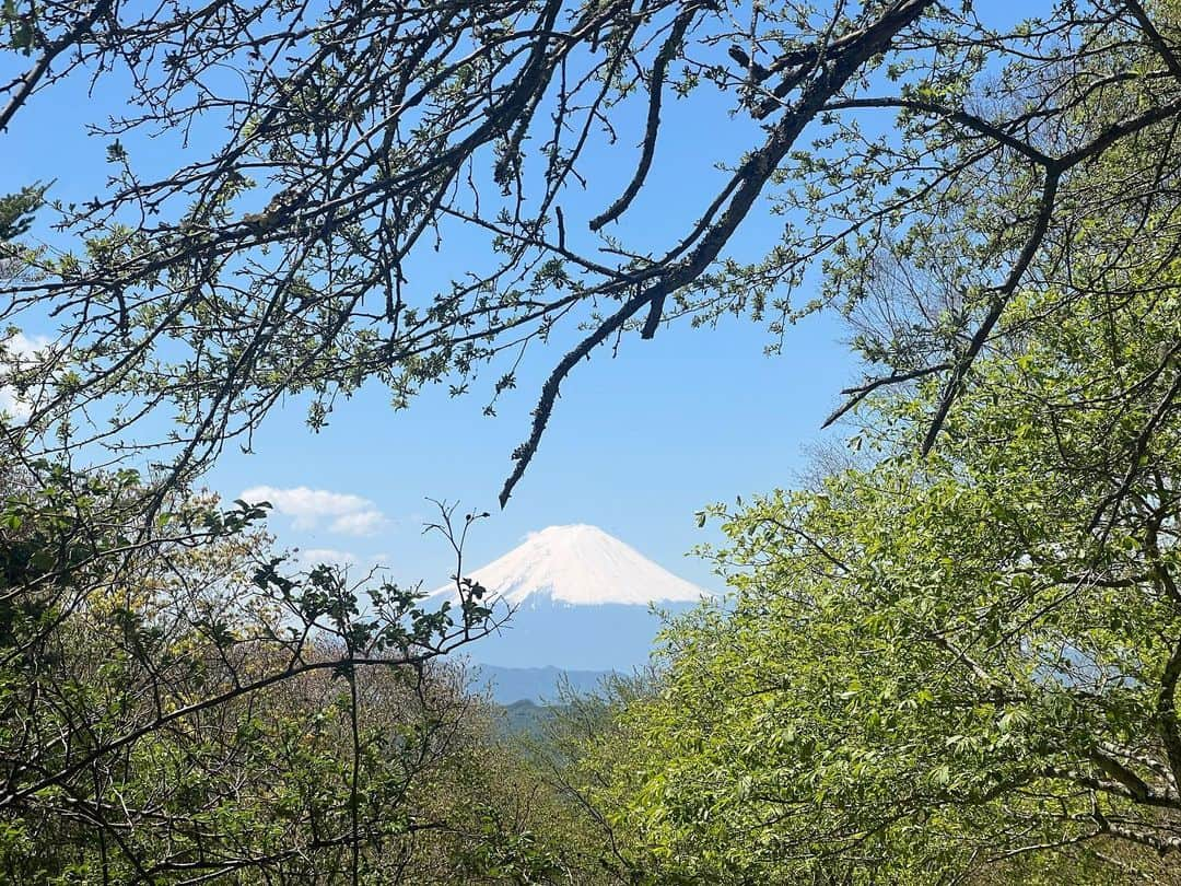 中村優さんのインスタグラム写真 - (中村優Instagram)「先日の大菩薩嶺⛰️🥾 私の初登山は2015年の大菩薩嶺🌿8年ぶりっ🤚🏼✨ @orangebackpackers #登山#大菩薩嶺」5月29日 10時25分 - nkmr_yu