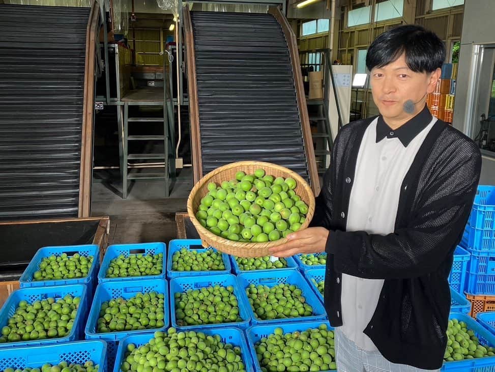 依田司さんのインスタグラム写真 - (依田司Instagram)「5月29日（月） 群馬県安中市の「JA碓氷安中 秋間梅選果場」では、梅の実の収穫が最盛期を迎えています。 この一体にある「秋間梅林」は東京ドーム１０個分の広大な敷地で、収穫量は６０トンにもなるそうです。 梅の加工品といえばやはり梅干し。樽などの容器に梅と塩を入れて重しをおいて数日すると梅酢でひたひたになります。 梅酢に砂糖水を混ぜ、野菜と香辛料を入れた瓶に注いで1日漬けるだけで梅酢ピクルスの完成です。 「秋間梅林」では梅酢ピクルスづくりをはじめ、梅のもぎ取り体験など、さまざまなプログラムを実施中。 参加希望の方はホームページで確認を。 お出かけの際は「観梅食堂」で群馬県名物の「おきりこみ」がお勧めです。美味しかったですよ。  #秋間梅林 #観梅食堂 #Righton #ライトオン #依田さん #依田司 #お天気検定 #テレビ朝日 #グッドモーニング #気象予報士 #お天気キャスター #森林インストラクター #グリーンセイバーアドバンス #プロジェクトワイルド #IPCC伝導者 #japan #japantrip #japantravel #unknownjapan #japanAdventure #japanlife #lifeinjapan #instagramjapan #instajapan #療癒 #ilovejapan #weather #weathercaster #weatherforecast」5月29日 10時25分 - tsukasa_yoda