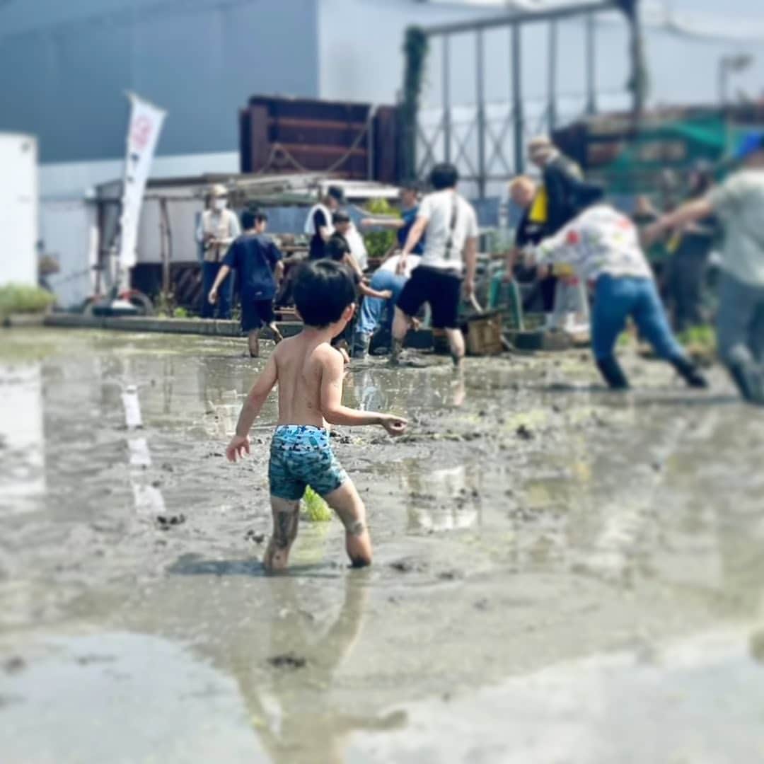 宮田麺児さんのインスタグラム写真 - (宮田麺児Instagram)「いい写真頂いた。 この子　田植えのMVPやな。」5月29日 10時41分 - miyatamenji