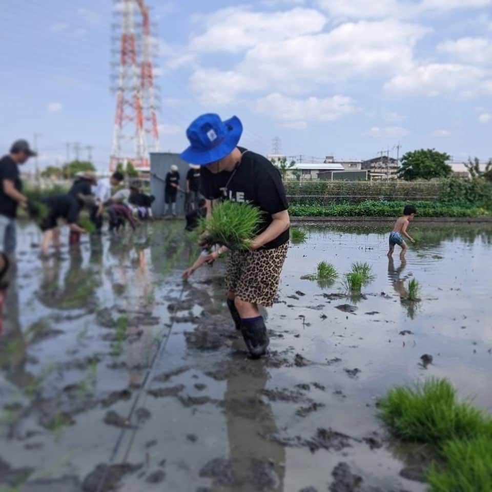 宮田麺児のインスタグラム：「いい写真頂いた。 この子　田植えのMVPやな。」