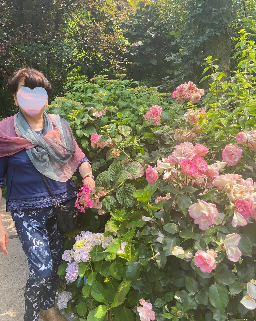 織香さんのインスタグラム写真 - (織香Instagram)「リバティもって💕 母とローズガーデンへ🌹  散りぎわの薔薇と咲き始めの紫陽花のコラボとても美しかった✨✨  花しょって母とたくさん写真撮りました😆 なんか幸せ感じられた日🫶💕  相棒はめちゃ軽くてたっぷり物が入るリバティのコンビトート💙 今週のオンエアでスペシャルVALになるので是非チェックしてください😊  5/31 水　14:00〜 QVC MIXショー出演  #横浜イングリッシュガーデン #薔薇#🌹#ローズ#rose #紫陽花  #リバティプリント #アンジェリカガーラ #💙 #リバティ #持ち歩くアート #自分で気分を上げる #いつも心にリバティを #QVC #生放送 ・ #liberty#qvcjapan #onair#japan #bag#summer#LIBERTY#intermodeusingliberty」5月29日 10時49分 - orikagram