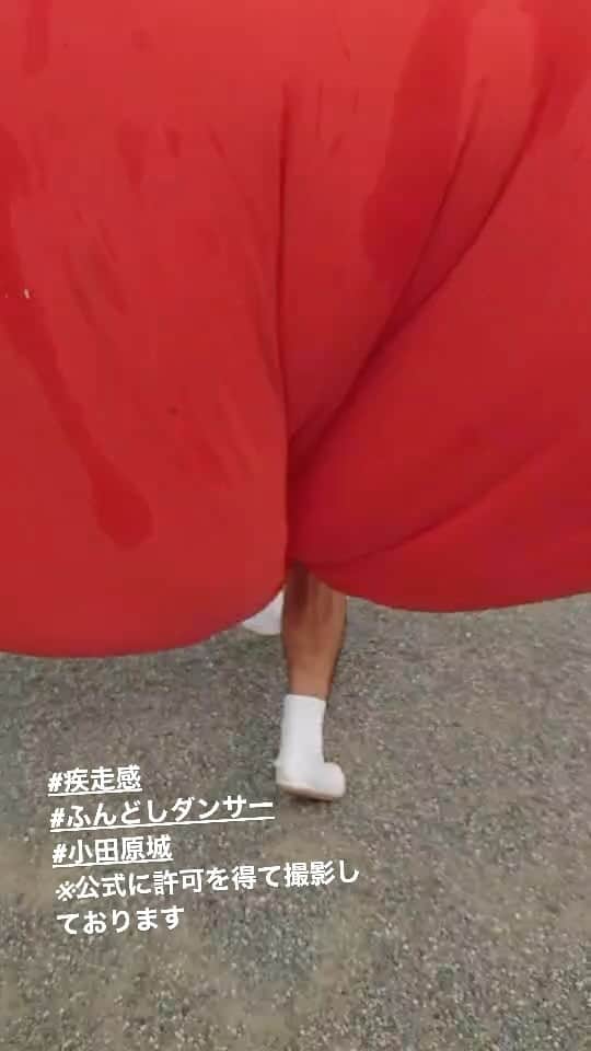 のインスタグラム：「熊さんとの仕事 @odoru_kumagai   乞うご期待」