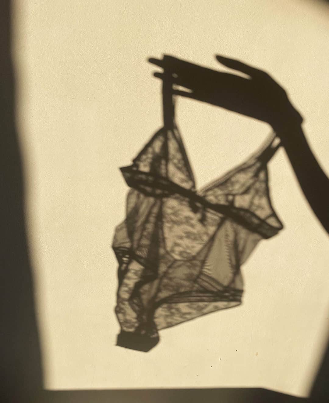 レジャビーのインスタグラム：「JEU DE TRANSPARENCE ​​​​​​​​​Ode à votre féminité retrouvée, osez des pièces davantage séduction…  - MODERN SEDUCTION Let's play with transparency…   #MaisonLejaby #Lingerie #Underwear #Corseterie #WomanMaisonLejaby #LingerieHeritage #SavoirFaire #FrenchKnowHow」