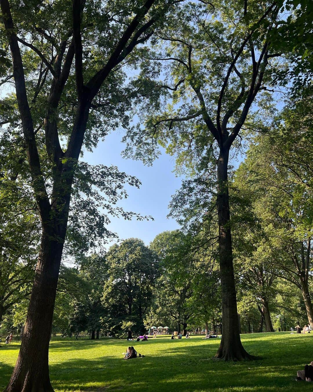 koyuさんのインスタグラム写真 - (koyuInstagram)「This is my first day of NY🇺🇸🗽 #america #ny #newyork #central #centralpark #manhattan #manhattanstreets #moma #momamuseum #museum #timessquare #nature」6月27日 7時08分 - koyu1215