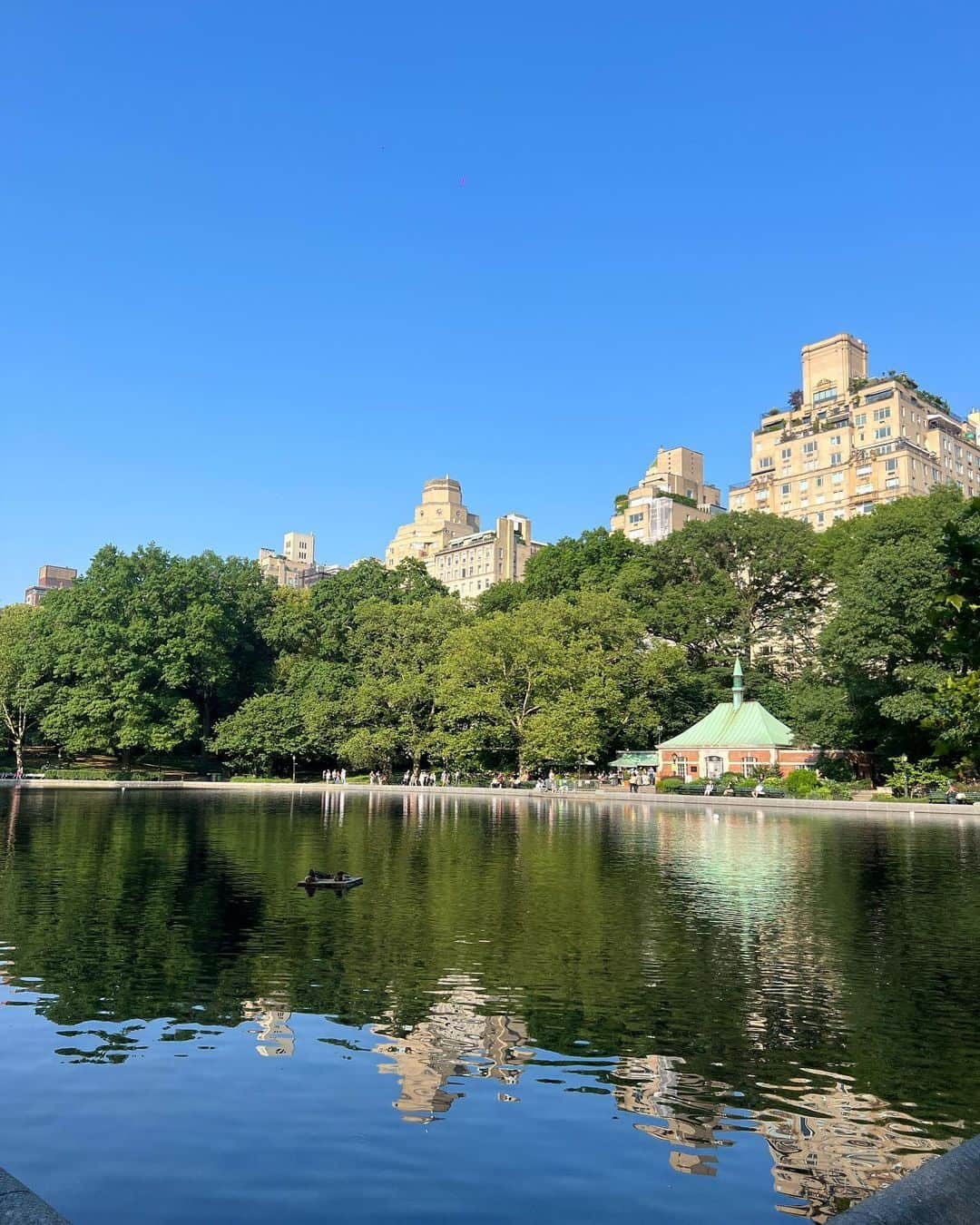 koyuのインスタグラム：「This is my first day of NY🇺🇸🗽 #america #ny #newyork #central #centralpark #manhattan #manhattanstreets #moma #momamuseum #museum #timessquare #nature」