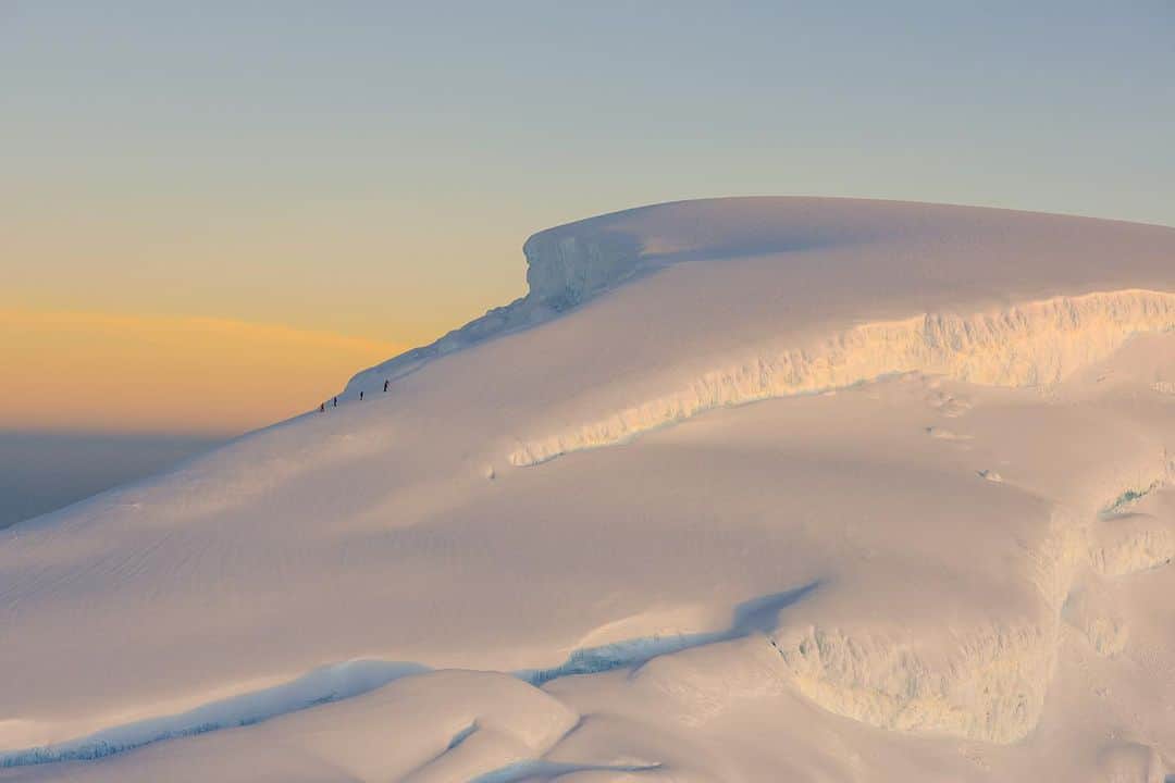 フェザーフレンズのインスタグラム