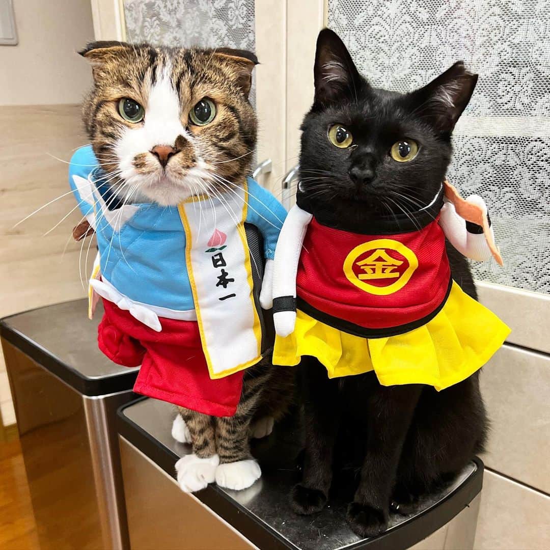 Nahoのインスタグラム