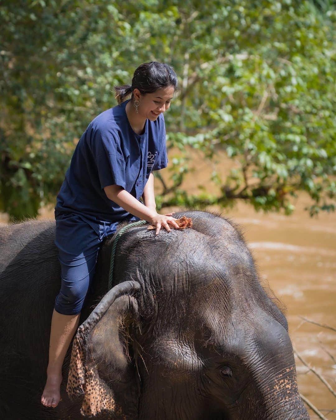 タイ国政府観光庁さんのインスタグラム写真 - (タイ国政府観光庁Instagram)「今朝は、タイの『エレファント・ケア・ツーリズム』についてご紹介✨  『エレファント・ケア・ツーリズム』は、“サステイナブルツーリズム – 持続可能な観光”の一環として、観光産業に従事する象を大切にする持続可能なツーリズム☺️  タイでは、タイの人たちが象を国の大切な動物として尊重している証として、毎年3月13日は『タイ・エレファント・デー』という象の日に指定されています。象は何世紀にもわたって生活をともにしている大切な家族の一員なのです🦣  かつて、象は主に林業に従事するために訓練されていましたが、1989年以降、政府が出した森林伐採廃止の政令により、象は観光産業の中で新たな役割を担うことになりました。  タイ全土には象が観光業に従事するために3,000頭以上飼育されており、彼らは全国22の県にある250カ所のエレファント・キャンプで暮らしています。  近年、タイ全土にあるエレファント・キャンプやエレファント・ホームでは、象の歴史や生態について学びながら、象たちの日常生活や自然の姿を観察したり、象たちがじゃれあったりリラックスしている可愛い姿を見ることができるアクティビティが増えており、象とお散歩をしたり、餌をあげたり、近い距離で触れ合うことができます🌈  今日も素敵な1日をお過ごしください💐  ★参考になった！と思ったら、あとで見返せるように、画像右下にある保存ボタン🔖をタップ！」6月27日 8時47分 - amazingthailandjp
