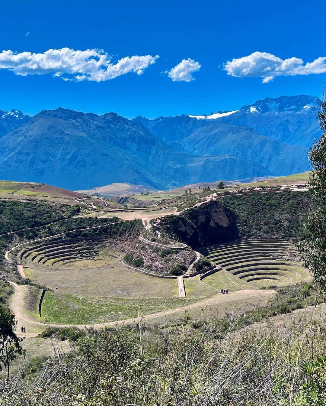 ケス Keisuiのインスタグラム：「Once in a lifetime experience.  @milcentro in Cusco 🇵🇪  Eating like Peru. Feeling so Peru.   Never thank enough to team @centralrest @kjollerest @mater.in @virgiliocentral @pialeonkjolle @diogovmiranda @sang.mater and @santiago.maztokyo」