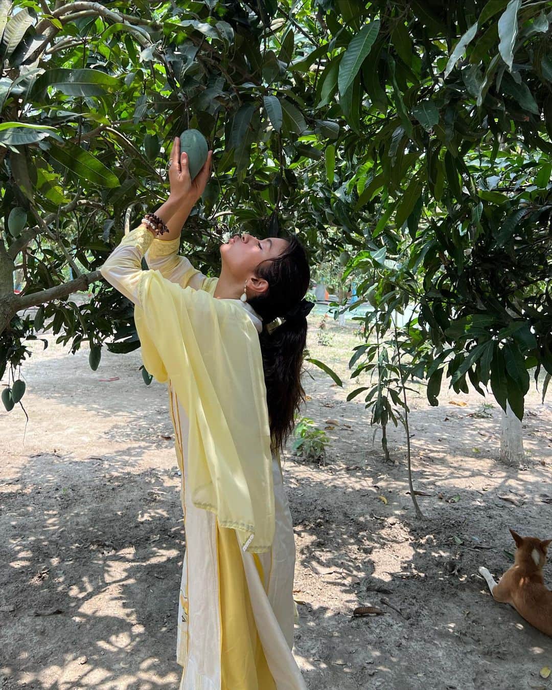 ローラさんのインスタグラム写真 - (ローラInstagram)「これが小さい時にいつも食べていたバングラデシュのお家のお庭からできたマンゴーだよ❕わたしが1番好きなマンゴーは、この小さくて緑色のマンゴー🥭　中をあけると、オレンジ色になっていて香りも甘味もすっごく濃厚でおいしいんだよ😭　このおいしいマンゴーをたべたら、どこに行ってもなかなか同じ味に出会う事ができないとおもうよ❕^o^ ただいまあーマンゴー🎶  This is the mango I always ate in my garden when I was little in Bangladesh! My favorite mango is this small green mango 🥭 When you open the inside, it's orange with a very rich taste, sweetness and delicious😭 If you eat this delicious mango, you won't be able to experience the same taste anywhere I think!  I’m home Mangoooos😋🙌  আমি বিশ্বের সেরা বাংলাদেশের আম পছন্দ করি।🤍」6月27日 9時14分 - rolaofficial