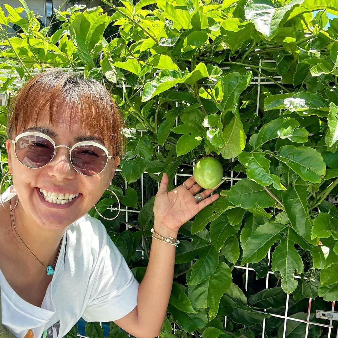 田中律子のインスタグラム