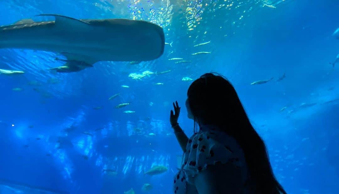 工藤唯さんのインスタグラム写真 - (工藤唯Instagram)「初美ら海水族館楽しかった✌🏻」6月27日 11時27分 - yui_kudo_0306