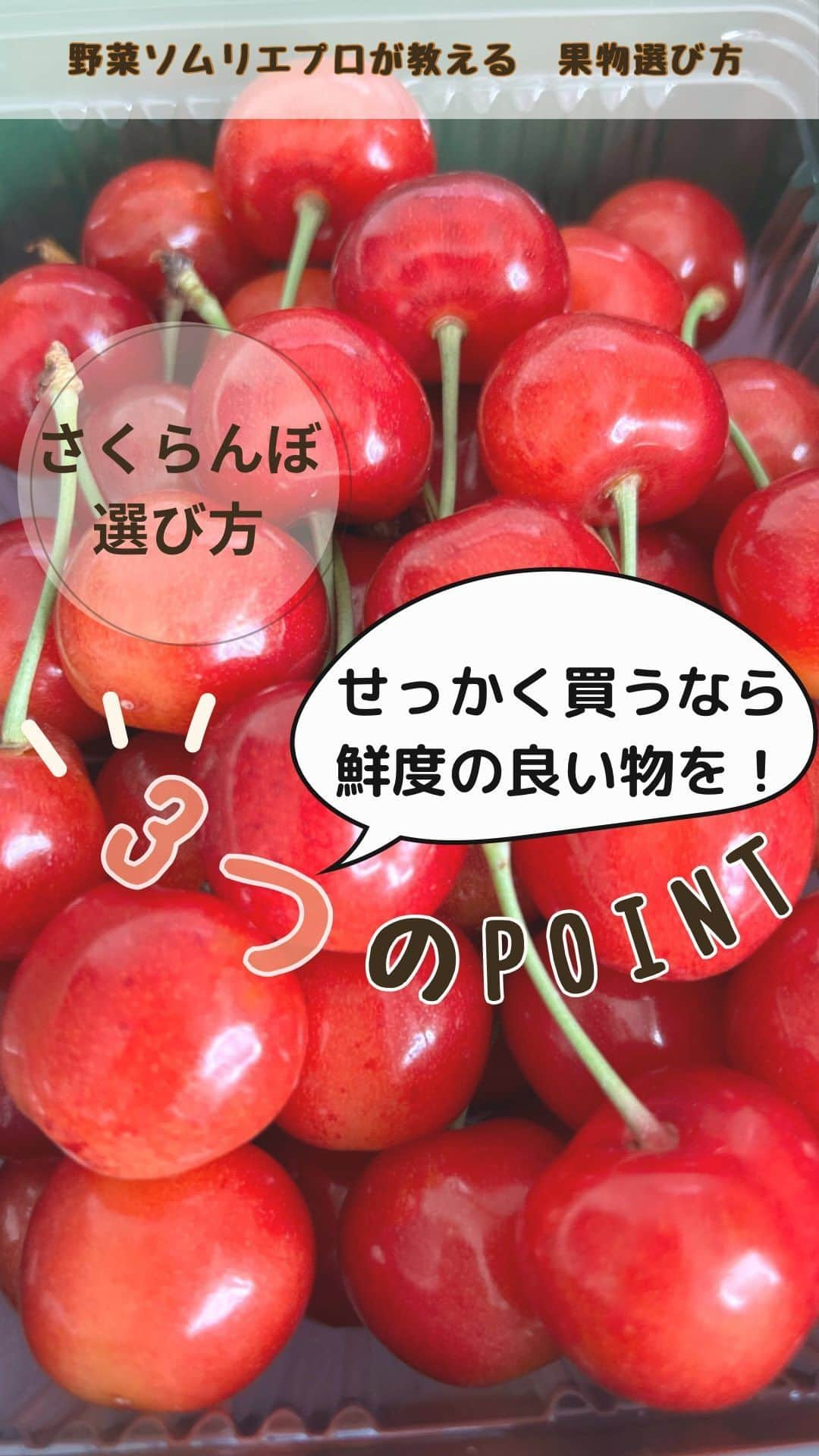 菅野広恵のインスタグラム：「野菜ソムリエプロ・農園取材100件以上 農産物通販オーナーの野菜・果物知っ得♪ 【スーパーでいつもより鮮度良いもの選べちゃう方法はこちら🌽🍅🍆】 ⇩⇩⇩⇩⇩⇩⇩⇩⇩⇩⇩⇩  今回は、6月7月が旬の 食べれる時期が非常に短い…  🍒「さくらんぼ」🍒  〜鮮度の良い3つの選び方をご紹介〜 日持ちが短いさくらんぼを美味しく食べて頂くには鮮度の良いさくらんぼを選ぶのがポイント♡ 簡単に見極められる3つはこちら💁‍♀️ —————————  🔶さくらんぼ選び方🍒  ①茎の部分をチェック🍒 ⇩ 茎は黄緑色が綺麗な物が採りたてのサイン♪ よくみると、茎が茶色っぽくなってるものもあるので、茎をチェックしてみてください♡  ②ツヤをチェック🍒 ⇩ 動画のさくらんぼは朝どれの物を撮影！ 採りたてのさくらんぼのツヤ、ハリは凄い‼︎ ツヤがなく、鈍った物は収穫してから時間が経過したサインなので、ツヤチェックしてみてください♡  ③色をチェック🍒 ⇩ くすみがなく、鮮やかな色を！ どんよりした色やぶにゅっとしてる物は 古いサイン！ 色にツヤがあり鮮やかな物を選ぶとgood！ 又ヘタまで真っ赤な物は、木で熟してから収穫されたサイン♡  ち、な、み、に❣️ さくらんぼの赤さや大きさは 品質基準により値段が変わる物なので 鮮度の良さとは変わってきますが 真っ赤な物は太陽にたっぷり当たり色づき 甘いと言われましが、 稀に黄色いさくらんぼも 甘い事もあるので、 真っ赤と言うよりも、 色の輝きをみるのがポイントです^_^  ——  高級品のさくらんぼだからこそ❣️ 旬の美味しいタイミングで 是非3つのポイントで 鮮度のよいさくらんぼ チョイスしてみてください🍒  🍒　@koufuann_itofarm @vegetaiment   ——  お洋服は、前日ママのためのファッションブランド　@i.rina_lovelymommy 抽選会で当たったピンクの半袖♪ さくらんぼに合わせて着てみました💗  #野菜のある生活  #野菜たっぷり  #野菜生活　#野菜が美味しい  #野菜が好き  #野菜を食べよう  #旬野菜　#旬の食材  #知って得する  #豆知識　#野菜ソムリエ　#野菜ソムリエプロ #さくらんぼ　##果物のある暮らし  #果物大好き  #旬の果物  #旬のフルーツ　 #節約生活  #2児のママ  #ワーママの日常  #ワーママごはん  #子育てママ  #0歳児ママ　#料理苦手主婦  #不器用」