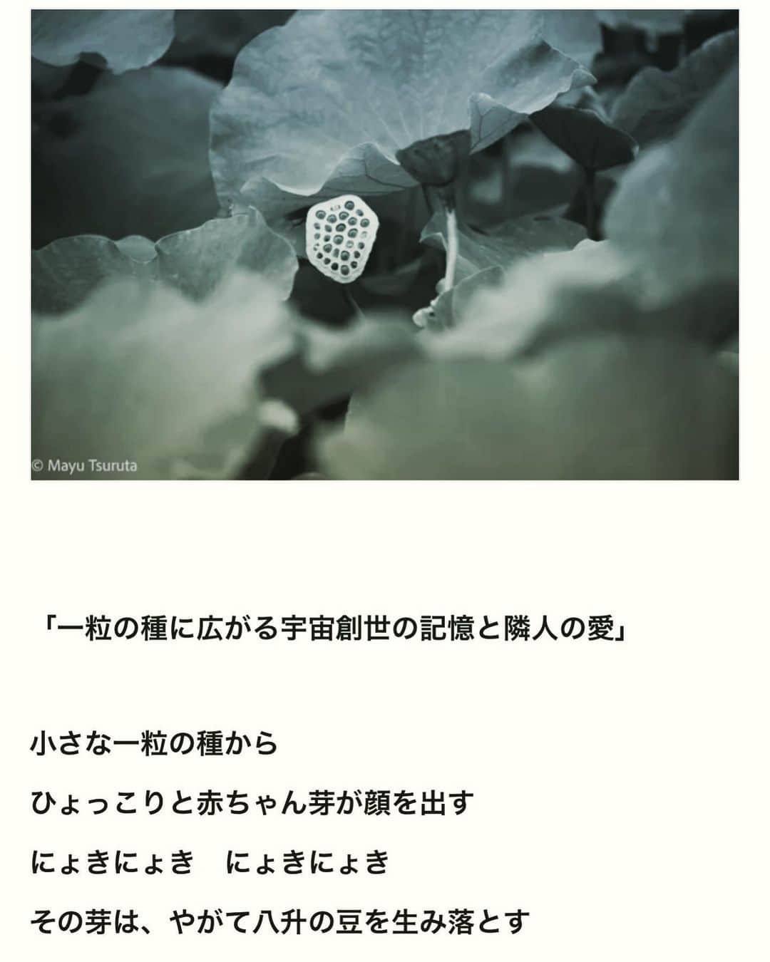 鶴田真由さんのインスタグラム写真 - (鶴田真由Instagram)「noteアップしました。 よかったらご覧下さい。  https://note.com/mayutsuruta/n/n3f1c0fd524a1」6月27日 11時58分 - mayutsuruta