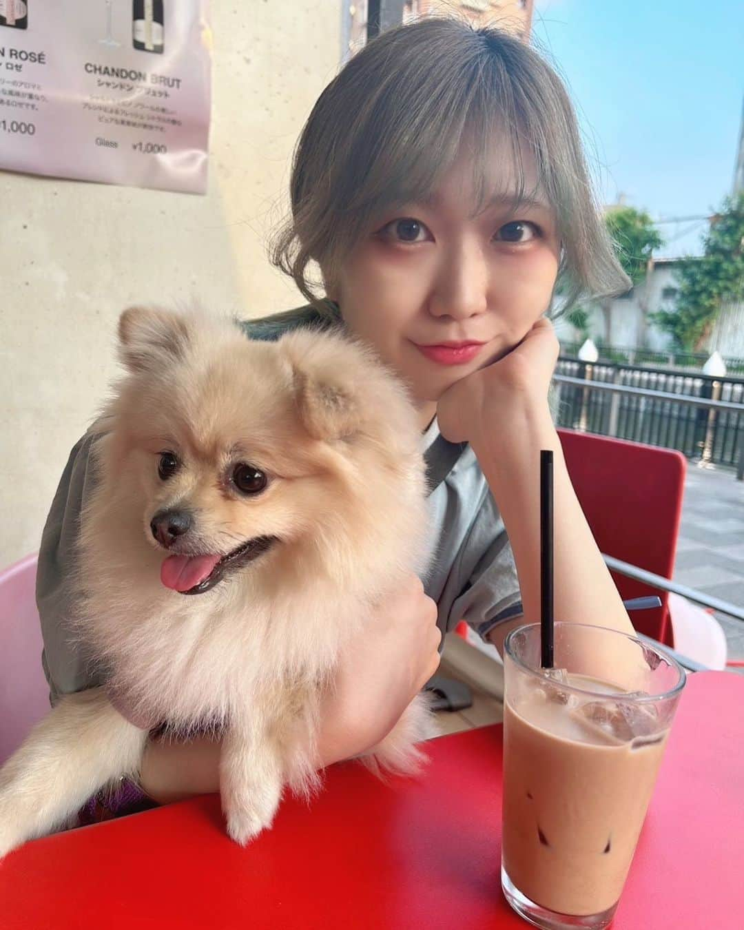 火寺バジル（魔法少女になり隊）のインスタグラム：「🐕🐕  . . . . #すみだリバーウォーク #cafe #japanlife」