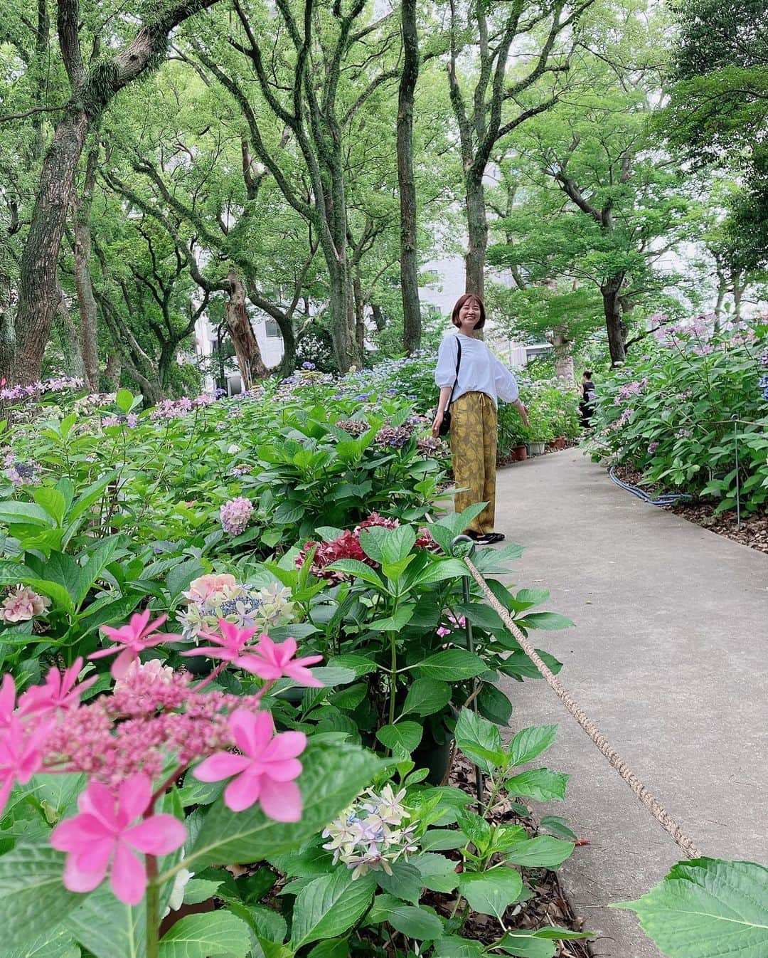 染矢すみれさんのインスタグラム写真 - (染矢すみれInstagram)「〻 筥崎宮のあじさいまつり☂️♡  30日まで約100品種 3500株のあじさいが楽しめます☺️🤍🔍  あじさい苑はほどよい広さで 珍しい寄せ植えや花手水にうっとり。  --------------------  開苑時間　9:00〜17:00 入苑料　300円  --------------------  参道の蚤の市は個性的なお店が多くて面白かったです💚 つぎの開催は7月23日(日)だそうですよー🎡  #筥崎宮#筥崎宮あじさい苑 #筥崎宮蚤の市 #筥崎宮あじさいまつり #風の市 #福岡観光スポット #福岡蚤の市 #福岡おでかけ #福岡おでかけスポット #hakozakishrine #hakozakigu」6月27日 12時16分 - someya_sumire