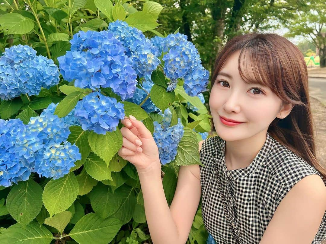 璃子さんのインスタグラム写真 - (璃子Instagram)「もうそろそろ梅雨明けるかな？💠 #紫陽花#梅雨」6月27日 12時41分 - ricopiiine