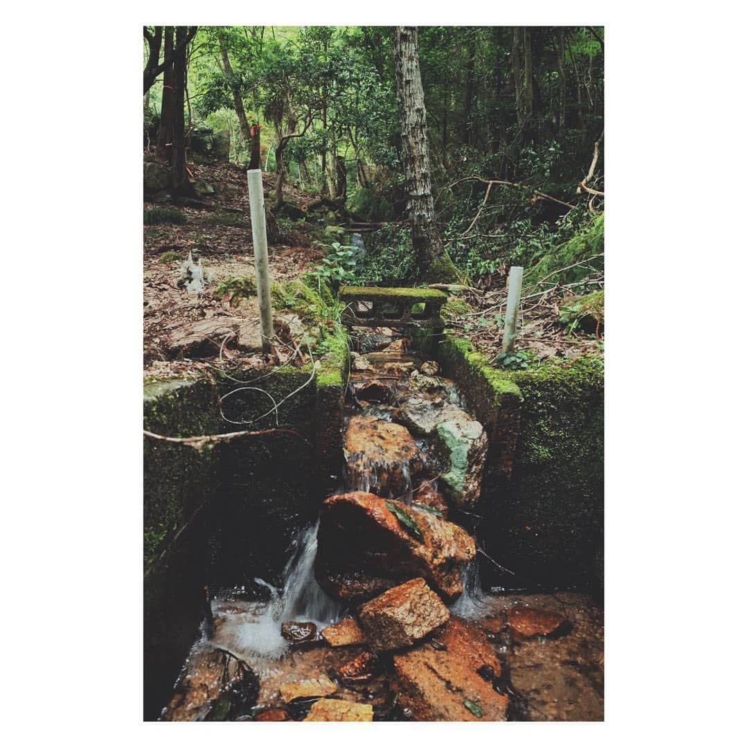 弥香のインスタグラム：「🌳🌳🌳 最近のわたしは 大雨でない限り週5でズの森に作業をしている  力仕事なので食事と睡眠がなにより大切  なかなか毎日両方をきっちり難しいけども  それなりにいいリズムになってきてます🌞  写真は最近のお気に入り ズの森の山からながれてくる川は途中から人工的な溝だから、味気なくて石とか砂利をいれてみた サワガニもでるしきっとホタルもいるからお気に入りスポットである  日々、土や木と触れ合ってると感じること  自然は素直だし どうしたっててどうにもならない事あるけど  どうにか一緒にやっていくしかなくて その試行錯誤がゆっくり育って ズの森になってゆくんだなぁっておもう  まだまだやることが沢山  応援よろしくお願いします◎  フォローしてね🌳 @zu.no.mori   #ズの森」