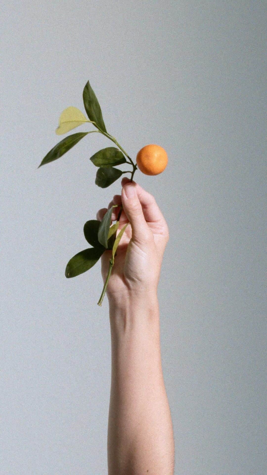 のインスタグラム：「Our fragrances, expressed in their appealing notes 🧡 Freshen yourself up with your favourite at mango.com」