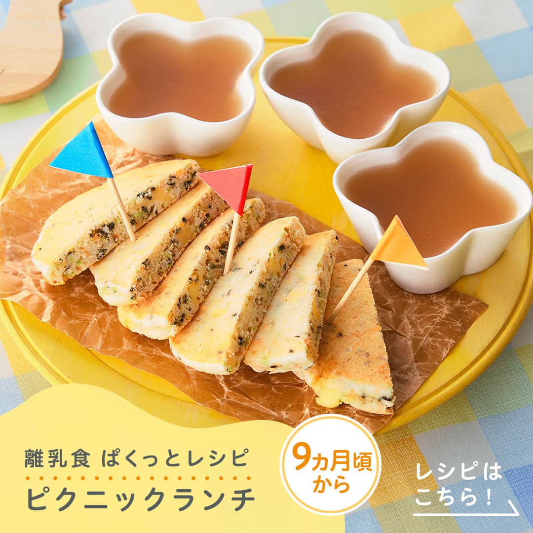 ピジョンのインスタグラム