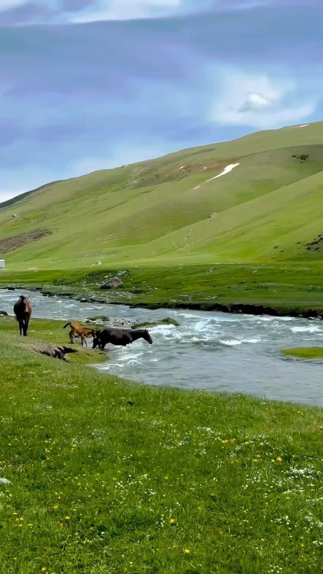 The Cool Hunterのインスタグラム：「🐎 water crossing @muhtesem_kyrgyzstan」