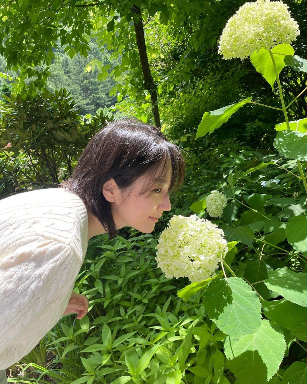 アン・ミナさんのインスタグラム写真 - (アン・ミナInstagram)「🌼🍃🧊」6月23日 17時18分 - mina_an_and_only