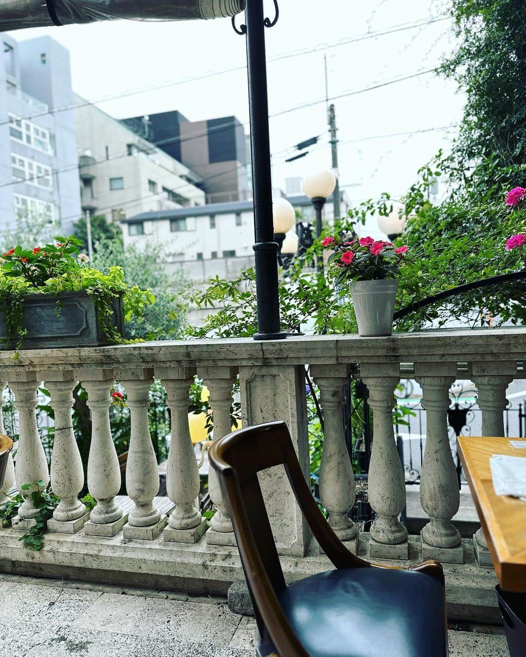 星那美月さんのインスタグラム写真 - (星那美月Instagram)「好きなレストランでランチした！」6月23日 17時36分 - mitsukihoshina