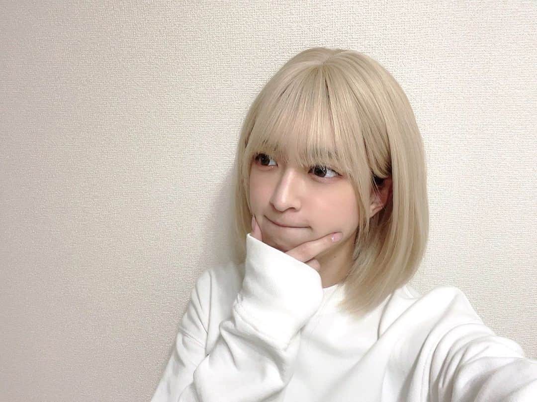 吉田綾乃クリスティーのインスタグラム：「🔒🔓 金髪ショートにしたらこんな感じ。らしい。 深夜テンションとか興味本位で買ったままタンスの肥やし状態だったウィッグ。 前髪もっと切りたい。  ついでに目玉の色も変えてみた。 MOLAKのダズルグレー。🩶 黒目の大きさはそのままで色だけ自然に変えてくれるからすき。  他の髪の毛はまたそのうち(仮)  おまけのねこ。」
