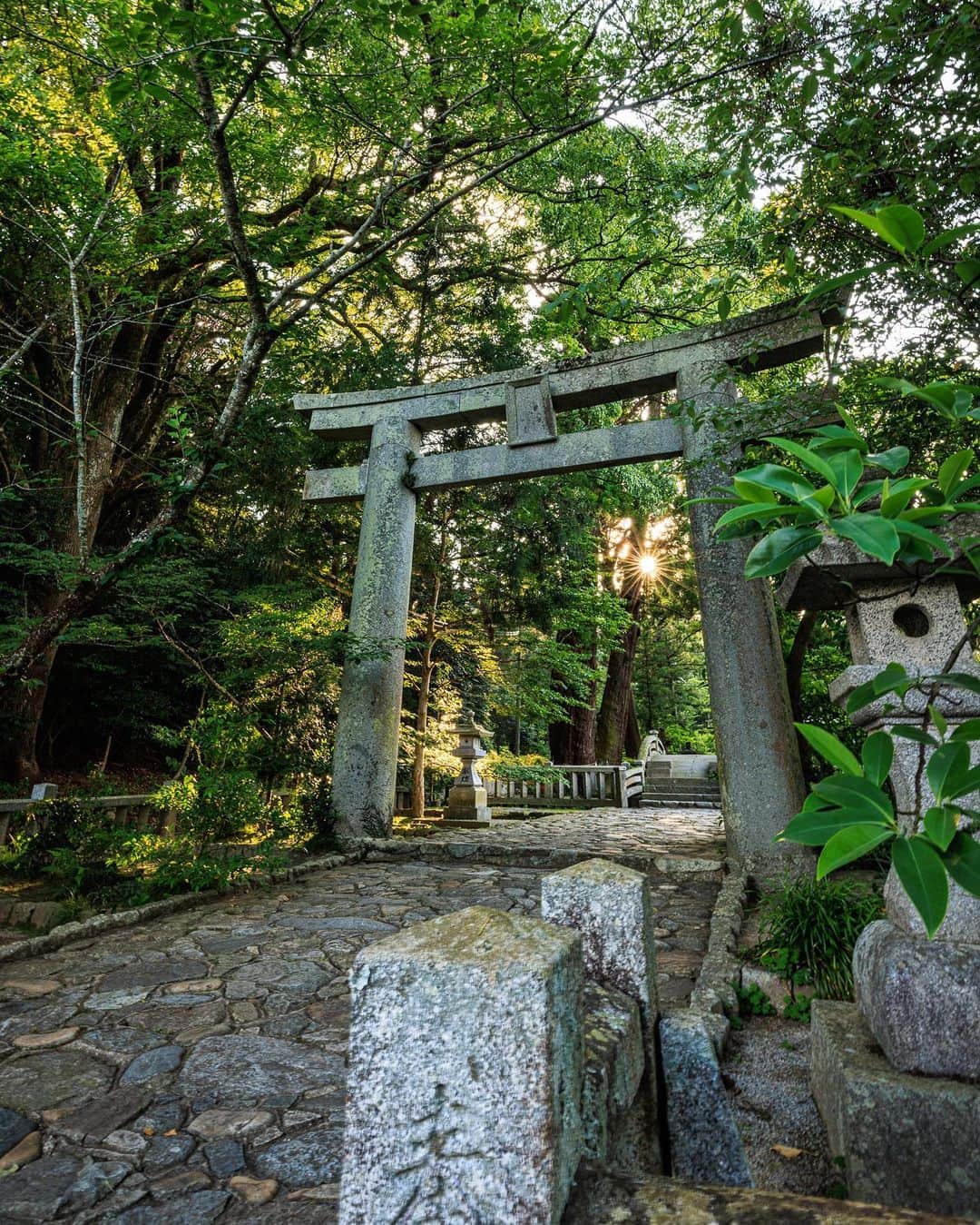 SHOCK EYEさんのインスタグラム写真 - (SHOCK EYEInstagram)「福岡県の糸島の櫻井神社⛩️ ここは、二見ヶ浦にある夫婦岩が有名。 この日も外国の方も含めて、沢山の人が写真を撮りに来てたよ。 このロケーションはほんとオンリーワン✨ いつきても素晴らしい場所だから、世界の人が魅了されるのがよくわかる。 もし行くことがあれば、神社の方にも訪れてみてほしいな。 深い森のような感覚のある境内、、 歴史を感じる社殿、素晴らしい場所なんだ。  #櫻井神社 #夫婦岩 #二見ヶ浦 #二見ヶ浦夫婦岩」6月23日 17時28分 - shockeye_official