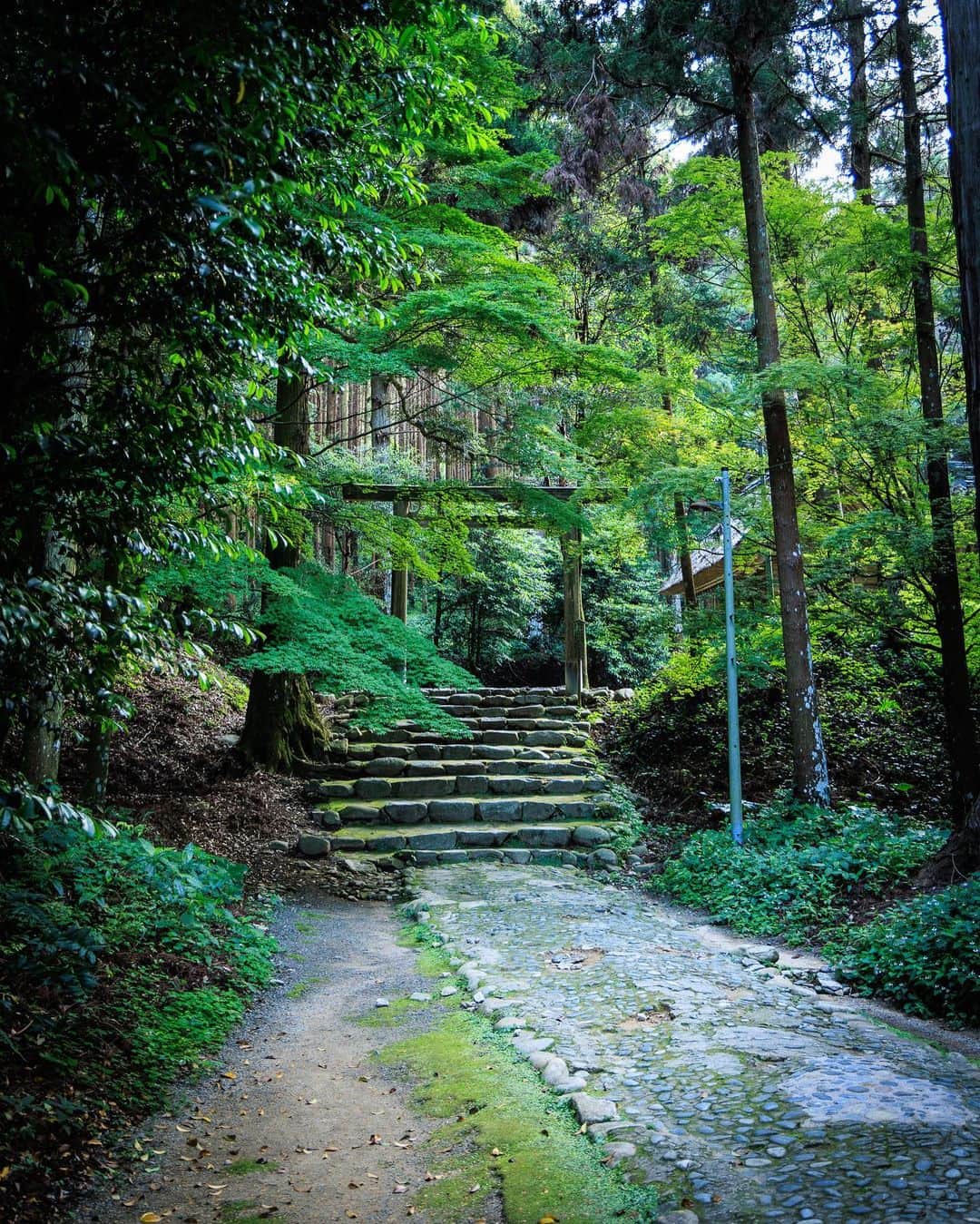 SHOCK EYEさんのインスタグラム写真 - (SHOCK EYEInstagram)「福岡県の糸島の櫻井神社⛩️ ここは、二見ヶ浦にある夫婦岩が有名。 この日も外国の方も含めて、沢山の人が写真を撮りに来てたよ。 このロケーションはほんとオンリーワン✨ いつきても素晴らしい場所だから、世界の人が魅了されるのがよくわかる。 もし行くことがあれば、神社の方にも訪れてみてほしいな。 深い森のような感覚のある境内、、 歴史を感じる社殿、素晴らしい場所なんだ。  #櫻井神社 #夫婦岩 #二見ヶ浦 #二見ヶ浦夫婦岩」6月23日 17時28分 - shockeye_official