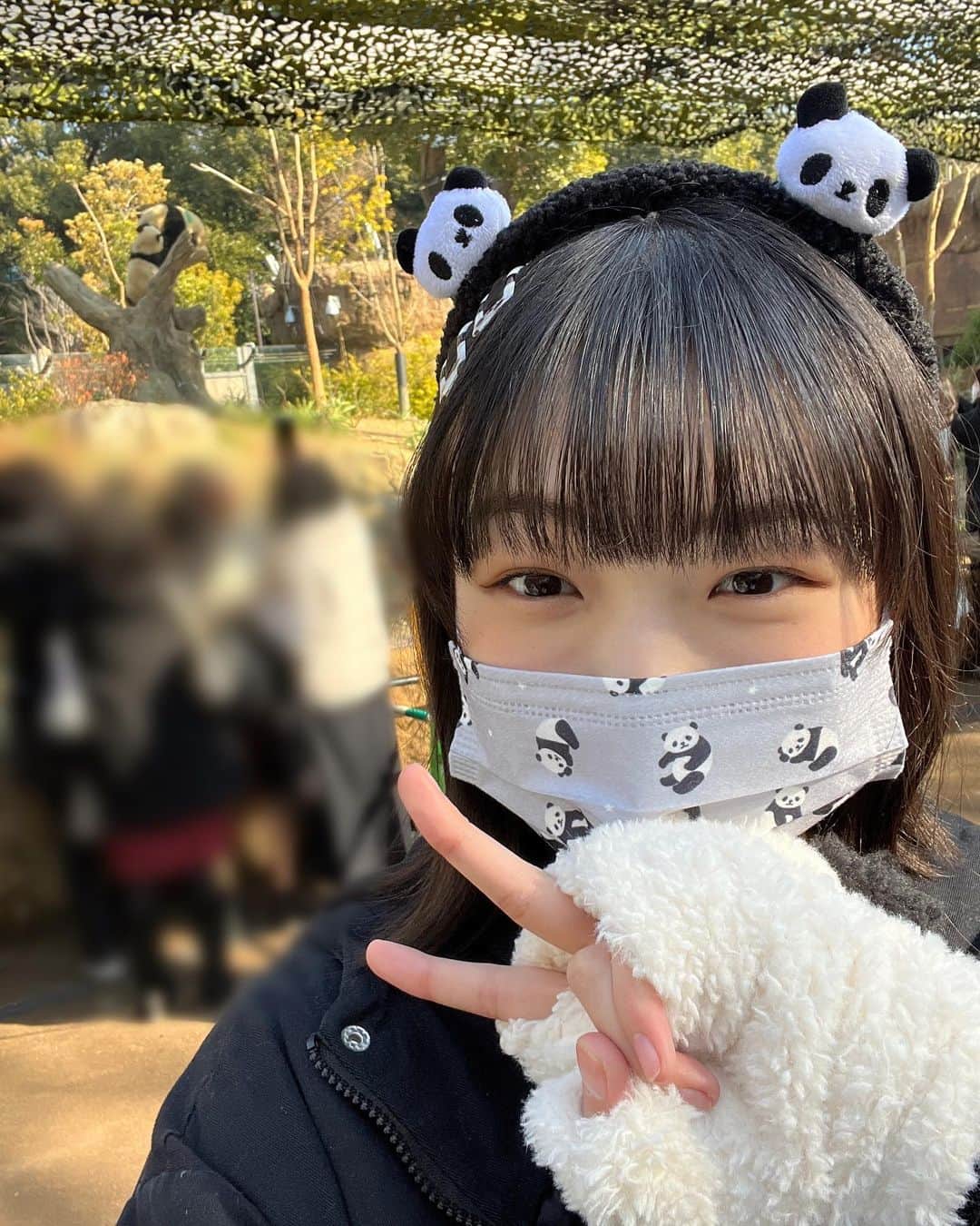 山﨑愛生さんのインスタグラム写真 - (山﨑愛生Instagram)「今日は上野動物園の シャオシャオさん🐼 レイレイさん🐼 お誕生日です🎂🎂 .*♥Happy Birthday ♥*.  📷 ♡#上野動物園 に行った時の写真！ 木の上にいるよ〜🪵 @ueno_zoo_official さん  ♡2枚目は、 お母さんパンダさんのシンシンさんと一緒に遊んでるよ〜♪ 背中の丸みが特に可愛いね〜💕  #シャオシャオ さん #レイレイ さん #シャオシャオとレイレイ  #シンシン さん  #パンダさん   #山﨑愛生  #パンダさんパワー  #モーニング娘23 #morningmusume23」6月23日 18時13分 - mei_yamazaki.official