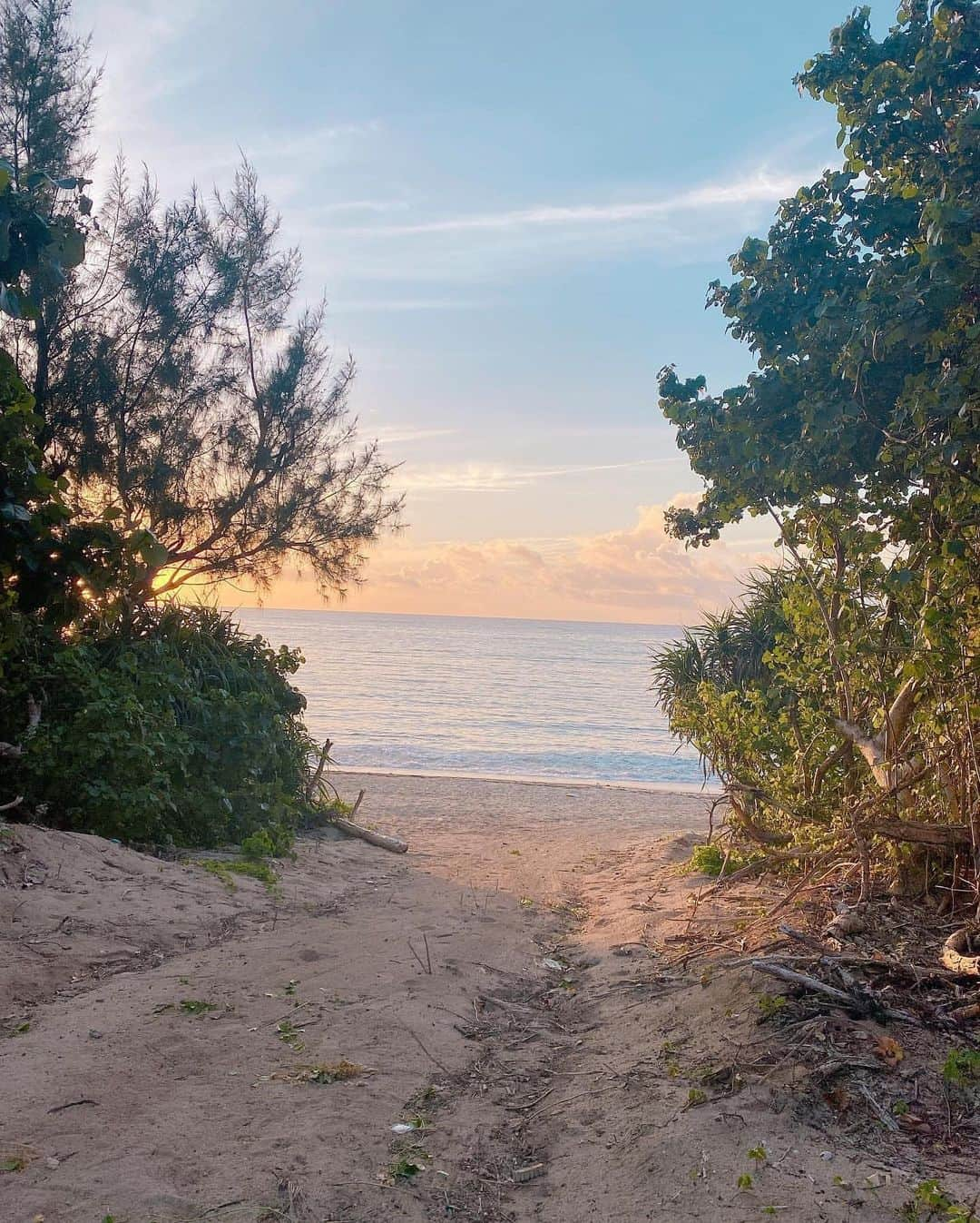 美女美容事情さんのインスタグラム写真 - (美女美容事情Instagram)「《海の美女ふたり💖🏝️》 *⁠ リポストを使って素敵な美女の投稿を紹介させて頂く【ビジョビ💄美女美容事情💅】のコーナーです✨ *⁠ 今回ご紹介させて頂きますのは!!👀❤︎⁠⠀ < @ttuc_ > さん < @ruirui31 >さん  おふたりの素敵なお写真📸⁠⠀⁠⠀⁠⠀⁠ *⁠⠀⁠⠀⁠⠀⁠⠀ ２人とも可愛くて海の景色と合わさって更に美しいです☀️🤩 早く海に行きたいですね❣️🏖️ *⠀⁠⠀⁠⠀⁠⠀⁠⠀⠀⁠⠀⁠⠀ 素敵な投稿ありがとうございました☺️📸✨ *⠀⁠⠀⁠⠀⁠⠀⁠⠀ おふたりのアカウントには他にも素晴らしい投稿が沢山ありますので是非覗いてみてくださいね💁‍♀️💙⁠⠀⁠⠀⁠⠀⁠⠀ *⠀⁠⠀⁠⠀⁠⠀⁠⠀ △▼△▼△▼△▼△▼△▼△▼△▼△▼ ⁠⠀⁠⠀⁠⠀ ❤🧡💛「美女美容事情」💚💙💜⠀⠀⠀⠀⠀⠀⠀⠀⠀⠀⠀⠀⠀⠀⁠⠀⁠⠀⁠⠀⁠⠀⁠⠀ 👇掲載ご希望の方は👇⠀⠀⠀⠀⠀⠀⠀⠀⠀⠀⠀⠀⠀⠀⠀⁠⠀⁠⠀⁠⠀⁠⠀⁠⠀ @b_b_j.jタグ付けと🖤 #ビジョビ ⁠⠀ 🖤タグ付けお願いします✨⠀⠀⠀⠀⠀⠀⠀⠀⠀⠀⠀⠀⠀⠀⠀⁠⠀⁠⠀⁠⠀⁠⠀⁠⠀ △▼△▼△▼△▼△▼△▼△▼△▼△▼ ⁠⠀⁠ #ビキニ女子 #ビキニ #ビキニガール  #水着美女 #水着女子 #水着ガール  #水着 #水着コーデ #海 #プール #bikini #bikinigirls #bikinimodel」6月23日 18時16分 - b_b_j.j