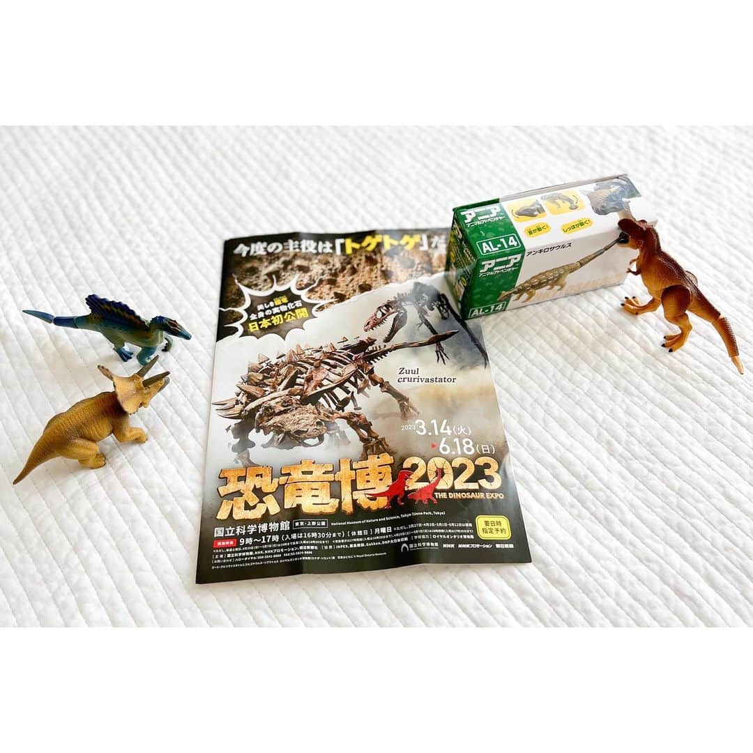 権藤朱実さんのインスタグラム写真 - (権藤朱実Instagram)「🦕 『恐竜博からの常設博』  博物館の親子コーデ♡♡  👩🏻📝 tops： @meyame_official #meyame bottoms： @coca_official_store #coca vest： @torrazzodonna_official #torrazzodonna sneaker： @veja #veja  👦🏻📝 tops・bottoms： @coca_kids_official #coca hat： @the_park_shop #theparkshop rain boots： @omnes_web #omnes  ちょいと探検家っぽくしてみました🤭ふふ  恐竜博2023の後に、常設展も観に行ってみたのですが・・・ え！？ ゆっくり観れるし✨ 恐竜以外もあって、面白い✨  もちろん！！ 『恐竜博2023』でしか観れない化石などが沢山でしたが✨ まだ、恐竜初心者の私たち家族には・・・ ゆっくり観れる常設展の方が合ってたのが正直なところ🫣💦  次回訪れる際は🦖 ギリギリじゃない平日を狙って行こうと思います！！  息子の手持ち恐竜アイテムは📝 トミカのアニア恐竜シリーズの・・・ ●ティラノサウルス ●スピノサウルス ●トリケラトプス  そして、今回の恐竜博をきっかけにお招きしたのが・・・ ●アンキロサウルス  👦🏻息子大喜び🎶🎶🎶  トミカシリーズって、車といい本当によく出来てるんですよね✨ ついつい大人が収集しだしてしまう魅力が🥺 アニアの恐竜シリーズも、徐々に集めていこうかな🤭🎶  #model #satorujapan #akemigondo #モデル #サトルジャパン #権藤朱実 →@satorujapan_official →@akemigondo ☑︎プロフィールのリンクにて、写真公開中☆ ☑︎リールにて、息子のあれこれ公開中☆」6月23日 11時02分 - akemigondo
