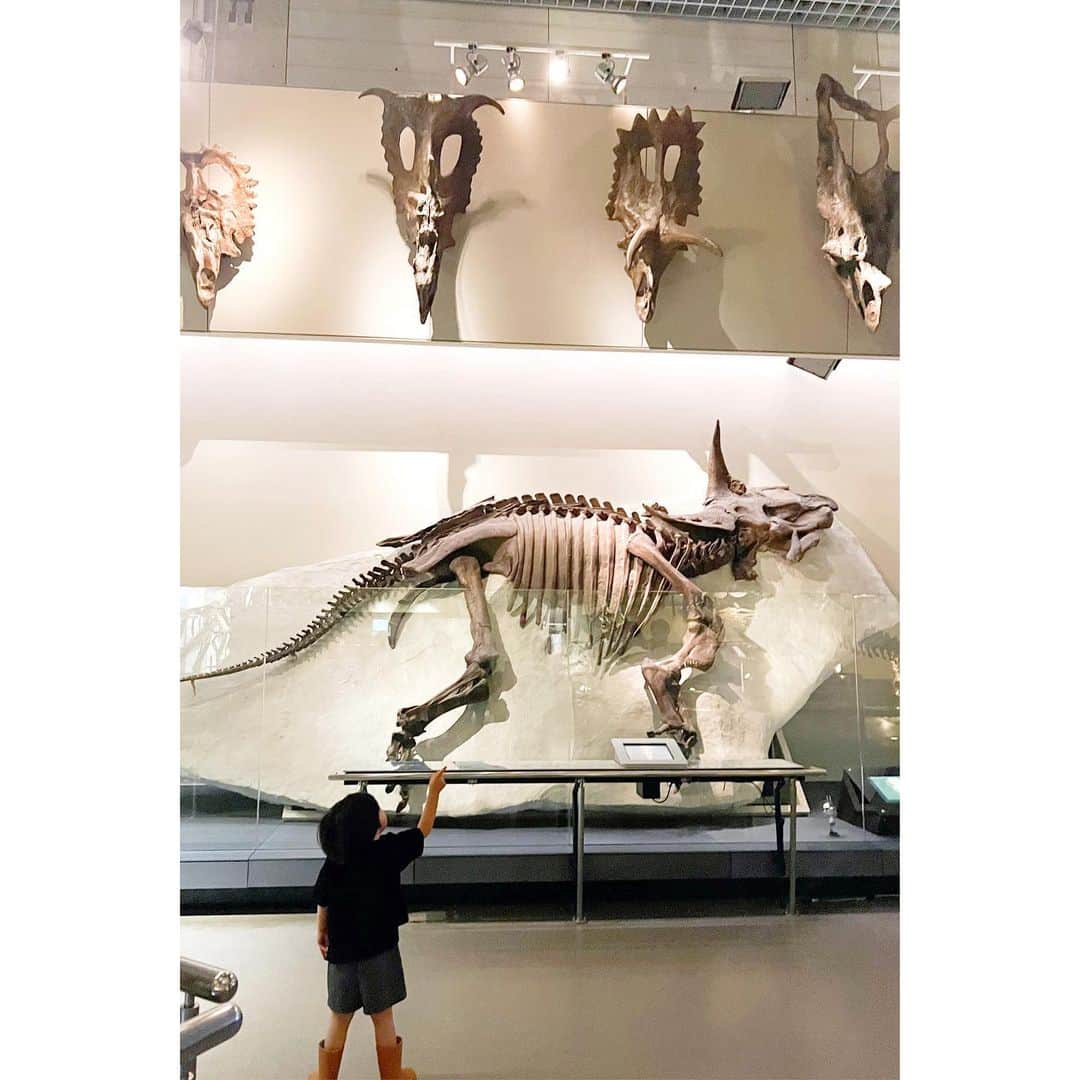 権藤朱実さんのインスタグラム写真 - (権藤朱実Instagram)「🦕 『恐竜博からの常設博』  博物館の親子コーデ♡♡  👩🏻📝 tops： @meyame_official #meyame bottoms： @coca_official_store #coca vest： @torrazzodonna_official #torrazzodonna sneaker： @veja #veja  👦🏻📝 tops・bottoms： @coca_kids_official #coca hat： @the_park_shop #theparkshop rain boots： @omnes_web #omnes  ちょいと探検家っぽくしてみました🤭ふふ  恐竜博2023の後に、常設展も観に行ってみたのですが・・・ え！？ ゆっくり観れるし✨ 恐竜以外もあって、面白い✨  もちろん！！ 『恐竜博2023』でしか観れない化石などが沢山でしたが✨ まだ、恐竜初心者の私たち家族には・・・ ゆっくり観れる常設展の方が合ってたのが正直なところ🫣💦  次回訪れる際は🦖 ギリギリじゃない平日を狙って行こうと思います！！  息子の手持ち恐竜アイテムは📝 トミカのアニア恐竜シリーズの・・・ ●ティラノサウルス ●スピノサウルス ●トリケラトプス  そして、今回の恐竜博をきっかけにお招きしたのが・・・ ●アンキロサウルス  👦🏻息子大喜び🎶🎶🎶  トミカシリーズって、車といい本当によく出来てるんですよね✨ ついつい大人が収集しだしてしまう魅力が🥺 アニアの恐竜シリーズも、徐々に集めていこうかな🤭🎶  #model #satorujapan #akemigondo #モデル #サトルジャパン #権藤朱実 →@satorujapan_official →@akemigondo ☑︎プロフィールのリンクにて、写真公開中☆ ☑︎リールにて、息子のあれこれ公開中☆」6月23日 11時02分 - akemigondo