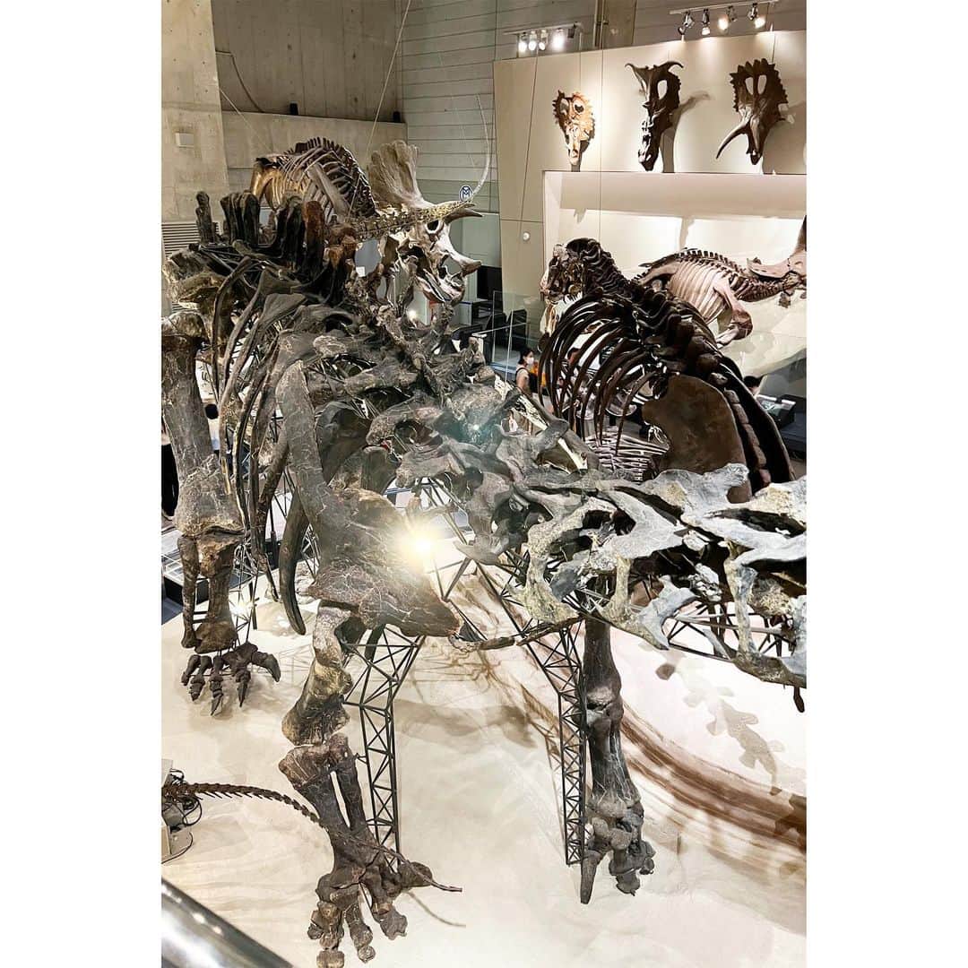 権藤朱実さんのインスタグラム写真 - (権藤朱実Instagram)「🦕 『恐竜博からの常設博』  博物館の親子コーデ♡♡  👩🏻📝 tops： @meyame_official #meyame bottoms： @coca_official_store #coca vest： @torrazzodonna_official #torrazzodonna sneaker： @veja #veja  👦🏻📝 tops・bottoms： @coca_kids_official #coca hat： @the_park_shop #theparkshop rain boots： @omnes_web #omnes  ちょいと探検家っぽくしてみました🤭ふふ  恐竜博2023の後に、常設展も観に行ってみたのですが・・・ え！？ ゆっくり観れるし✨ 恐竜以外もあって、面白い✨  もちろん！！ 『恐竜博2023』でしか観れない化石などが沢山でしたが✨ まだ、恐竜初心者の私たち家族には・・・ ゆっくり観れる常設展の方が合ってたのが正直なところ🫣💦  次回訪れる際は🦖 ギリギリじゃない平日を狙って行こうと思います！！  息子の手持ち恐竜アイテムは📝 トミカのアニア恐竜シリーズの・・・ ●ティラノサウルス ●スピノサウルス ●トリケラトプス  そして、今回の恐竜博をきっかけにお招きしたのが・・・ ●アンキロサウルス  👦🏻息子大喜び🎶🎶🎶  トミカシリーズって、車といい本当によく出来てるんですよね✨ ついつい大人が収集しだしてしまう魅力が🥺 アニアの恐竜シリーズも、徐々に集めていこうかな🤭🎶  #model #satorujapan #akemigondo #モデル #サトルジャパン #権藤朱実 →@satorujapan_official →@akemigondo ☑︎プロフィールのリンクにて、写真公開中☆ ☑︎リールにて、息子のあれこれ公開中☆」6月23日 11時02分 - akemigondo