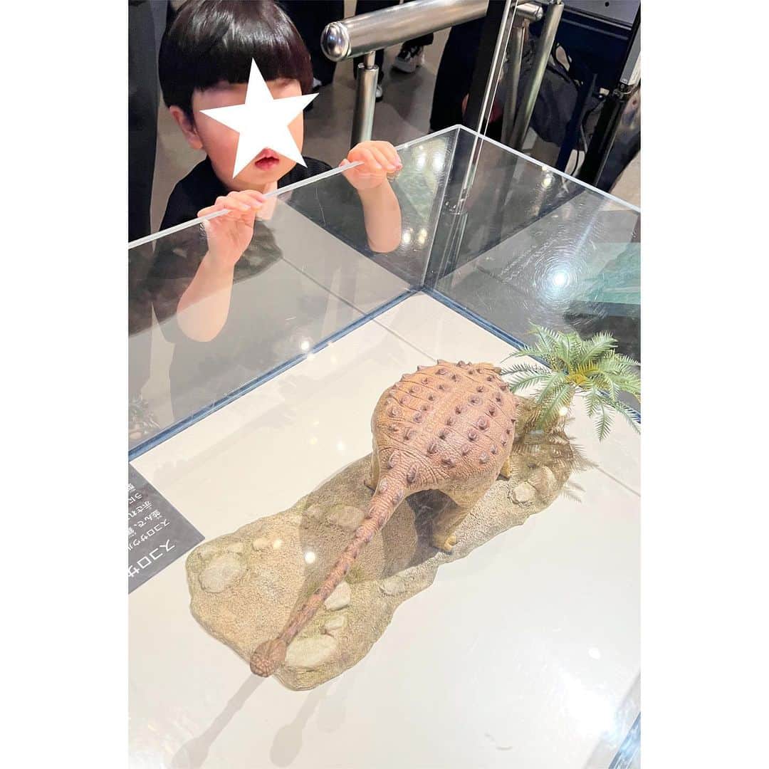 権藤朱実さんのインスタグラム写真 - (権藤朱実Instagram)「🦕 『恐竜博からの常設博』  博物館の親子コーデ♡♡  👩🏻📝 tops： @meyame_official #meyame bottoms： @coca_official_store #coca vest： @torrazzodonna_official #torrazzodonna sneaker： @veja #veja  👦🏻📝 tops・bottoms： @coca_kids_official #coca hat： @the_park_shop #theparkshop rain boots： @omnes_web #omnes  ちょいと探検家っぽくしてみました🤭ふふ  恐竜博2023の後に、常設展も観に行ってみたのですが・・・ え！？ ゆっくり観れるし✨ 恐竜以外もあって、面白い✨  もちろん！！ 『恐竜博2023』でしか観れない化石などが沢山でしたが✨ まだ、恐竜初心者の私たち家族には・・・ ゆっくり観れる常設展の方が合ってたのが正直なところ🫣💦  次回訪れる際は🦖 ギリギリじゃない平日を狙って行こうと思います！！  息子の手持ち恐竜アイテムは📝 トミカのアニア恐竜シリーズの・・・ ●ティラノサウルス ●スピノサウルス ●トリケラトプス  そして、今回の恐竜博をきっかけにお招きしたのが・・・ ●アンキロサウルス  👦🏻息子大喜び🎶🎶🎶  トミカシリーズって、車といい本当によく出来てるんですよね✨ ついつい大人が収集しだしてしまう魅力が🥺 アニアの恐竜シリーズも、徐々に集めていこうかな🤭🎶  #model #satorujapan #akemigondo #モデル #サトルジャパン #権藤朱実 →@satorujapan_official →@akemigondo ☑︎プロフィールのリンクにて、写真公開中☆ ☑︎リールにて、息子のあれこれ公開中☆」6月23日 11時02分 - akemigondo