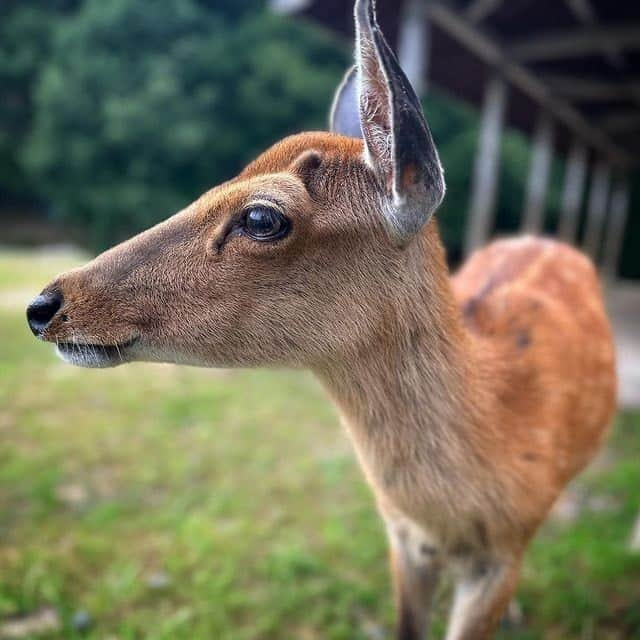 福山市【公式】のインスタグラム