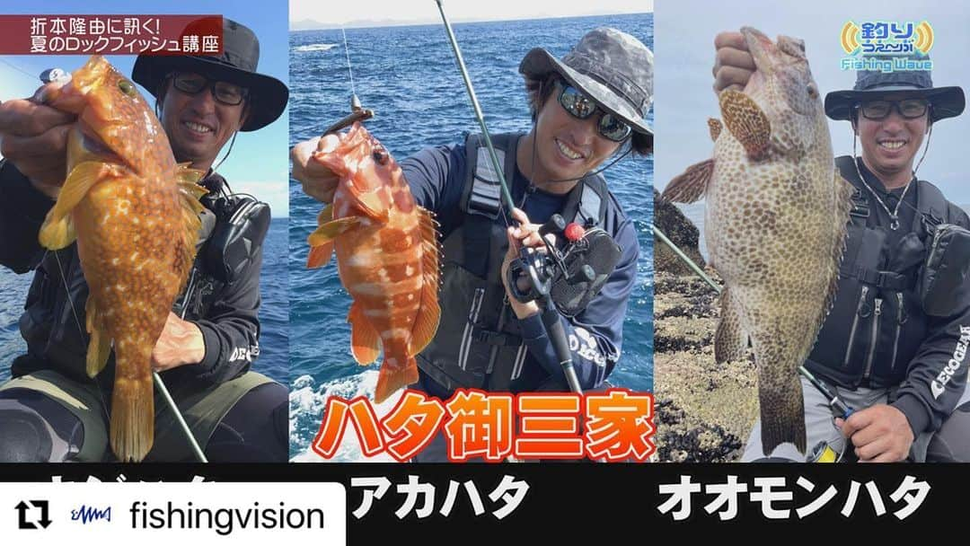 小池唯さんのインスタグラム写真 - (小池唯Instagram)「#Repost @fishingvision with @use.repost ・・・ 📺本日21時『釣りうぇ～ぶ 197』夏のロックフィッシュ講座/晴れよ来い！開運釣り旅  🆓BS251ch、釣りビジョンVOD、Youtubeで無料放送＆配信📡  【FishingWave】 ・夏のロックフィッシュ講座  『Rock’n Fish』でお馴染みの折本隆由が、夏のロックフィッシュゲームの魅力を語りつくす。  棲息域から食性、釣り分ける醍醐味や、バス用ルアーで狙う方法まで徹底解説。  さらに #小池唯(@yuikoike_official) のキャスト練習も！ピッチングの基本を教える。  【釣りガチャ】 ・晴れよ来い！開運釣り旅  釣りうぇ～ぶ２回目の登場となる釣り好き女優・小池唯が晴天祈願・釣果祈願の寺社巡り。  東京都杉並区『気象神社』から、茨城県稲敷市『釣船寺』まで、嵐の中でロケ敢行！  さらに「つりぼり６２」で期間限定のカワムツ釣りに挑む！  【見ようぜ！土８】 ・釣りビジョンの土曜よる８時がパワーアップ！イチ押し番組が大集合。  今週のテーマは＜なんでも有り＞。 #折本隆由(@takayoshi_orimoto) さん出演の『アナタに釣っていただきます』を紹介。  少年時代のあこがれの釣りだったというハエ釣りに挑戦！  #井手大介(@daiskeide) #岡田万里奈(@lovendor_okamari)  ★14日間無料お試し体験実施中！ スマホ・PC・テレビで、いつでも好きな番組が見られる『釣りビジョンVOD』でも同日配信予定。 📺 Fire TV＆Android TVでもご覧いただけます👀  詳しくはプロフィール内URLや、ストーリーズから『釣りビジョンVOD』をチェック✔→@fishingvision   #釣り #釣りビジョン #釣りビジョンVOD #釣り動画 #釣り情報 #釣果情報 #釣りうぇーぶ #釣り堀 #ロックフィッシュ #気象神社 #ゴーカイジャー」6月23日 12時24分 - yuikoike_official