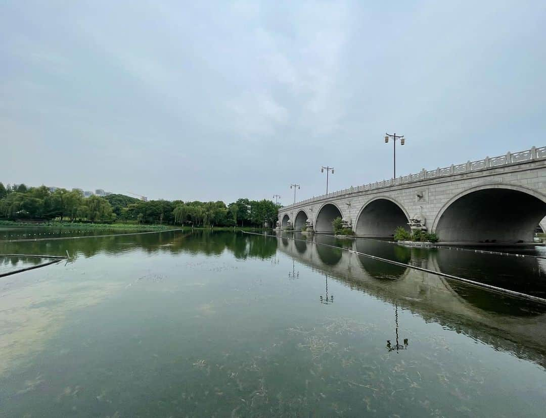 見延和靖さんのインスタグラム写真 - (見延和靖Instagram)「中国、無錫で開催されたアジア選手権から帰国しました！ 結果は、個人戦6位、団体戦優勝！ 僕は団体戦に出場しませんでしたが、皆んな完璧な試合をしてくれて、全試合圧勝での優勝でした！ここまで完璧な試合は見たことない！ この勢いを維持し、来月の世界選手権では、エペジーーン一丸となり、もうひと暴れしてきたいと思います！！ . . . . . .  Ⓒ日本フェンシング協会/Augusto Bizzi/FIE  #NexusFencingClub #エリアリンク株式会社 #テクノジム ジャパン株式会社 #SCENTMATIC株式会社 #ハローストレージ #KAORIUM #fencing #epee #フェンシング #エペ #エペジーーン #日本代表 #感動 #金メダリスト#fencinglife #fencingposts #fencingteam #fencingtime  #アジア選手権  #突け心を#JAL #KOWA #長谷工コーポレーション #三洋紙業 #タマディック #鈴与 #カラダファクトリー #Impal #伊藤超短波」6月23日 12時38分 - minobe_kazuyasu