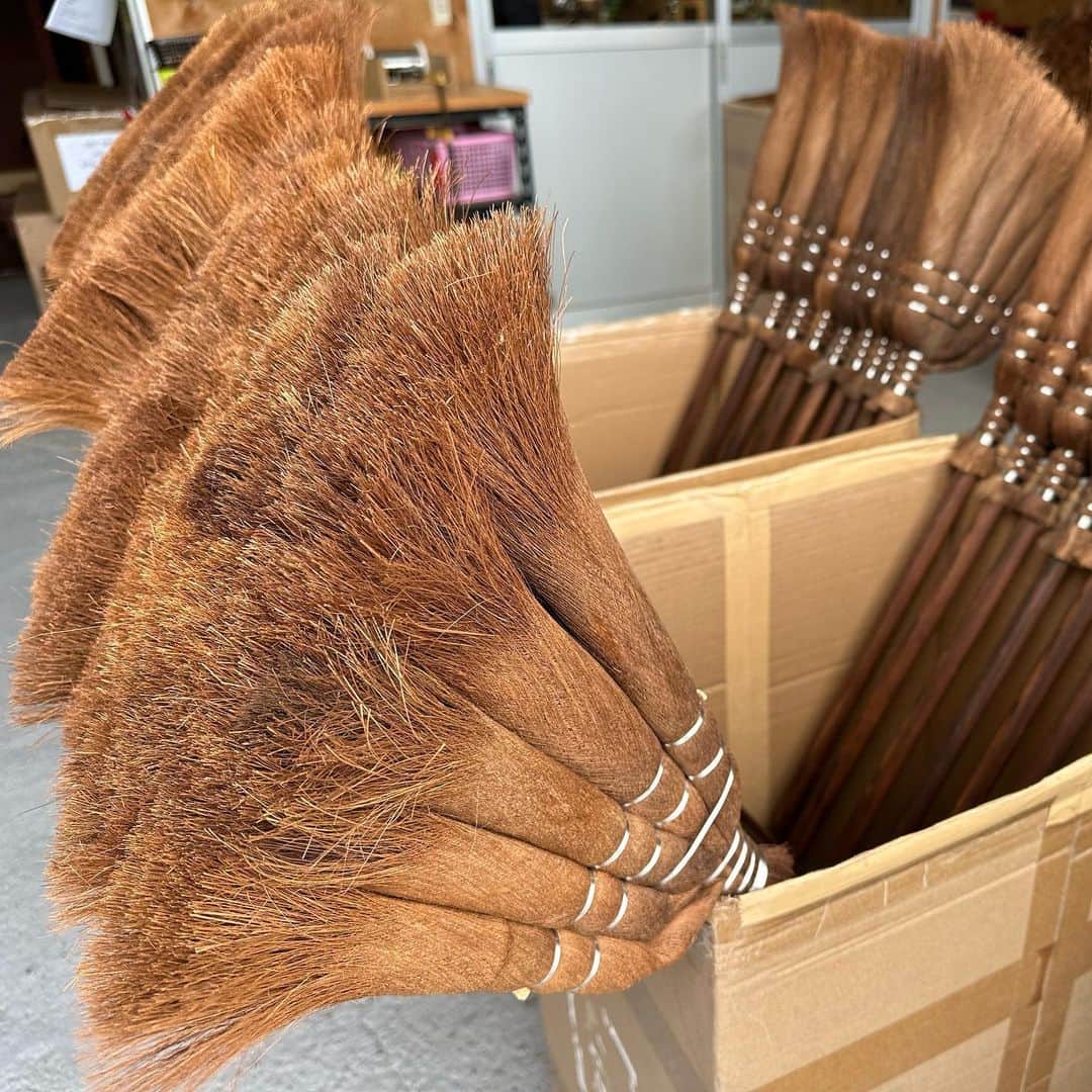 山中真さんのインスタグラム写真 - (山中真Instagram)「・ 水曜は和歌山県海南市から しゅろたわし♪  棕櫚（しゅろ）という木の皮から 繊維をとって使います。  安く売られている パーム（椰子）製に比べて 繊維が細く柔らかく、 ひとつひとつ丁寧に手作りなので クオリティーが高いだけでなく いろんな形を開発。  しゅろのほうきも 職人技の作品、美しかった。  #mbs #よんチャンtv  #毎日生中継 #山ちゃん中継 #たわし　#贅沢たわし #しゅろのたわし　#棕櫚たわし #高田耕造商店　#和歌山県海南市」6月23日 14時40分 - makorine1120